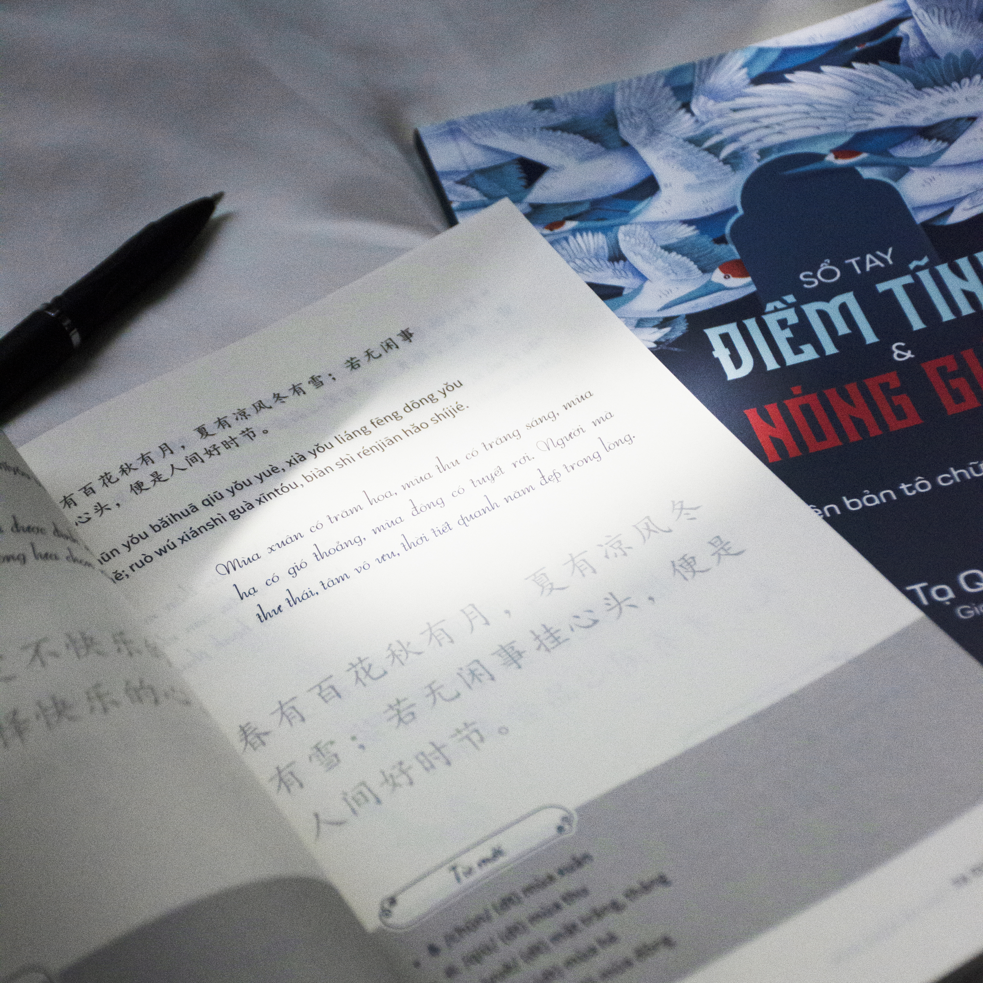 Sổ Tay Điềm Tĩnh Và Nóng Giận - Phiên Bản Tô Chữ Tiếng Trung - Ảnh 7