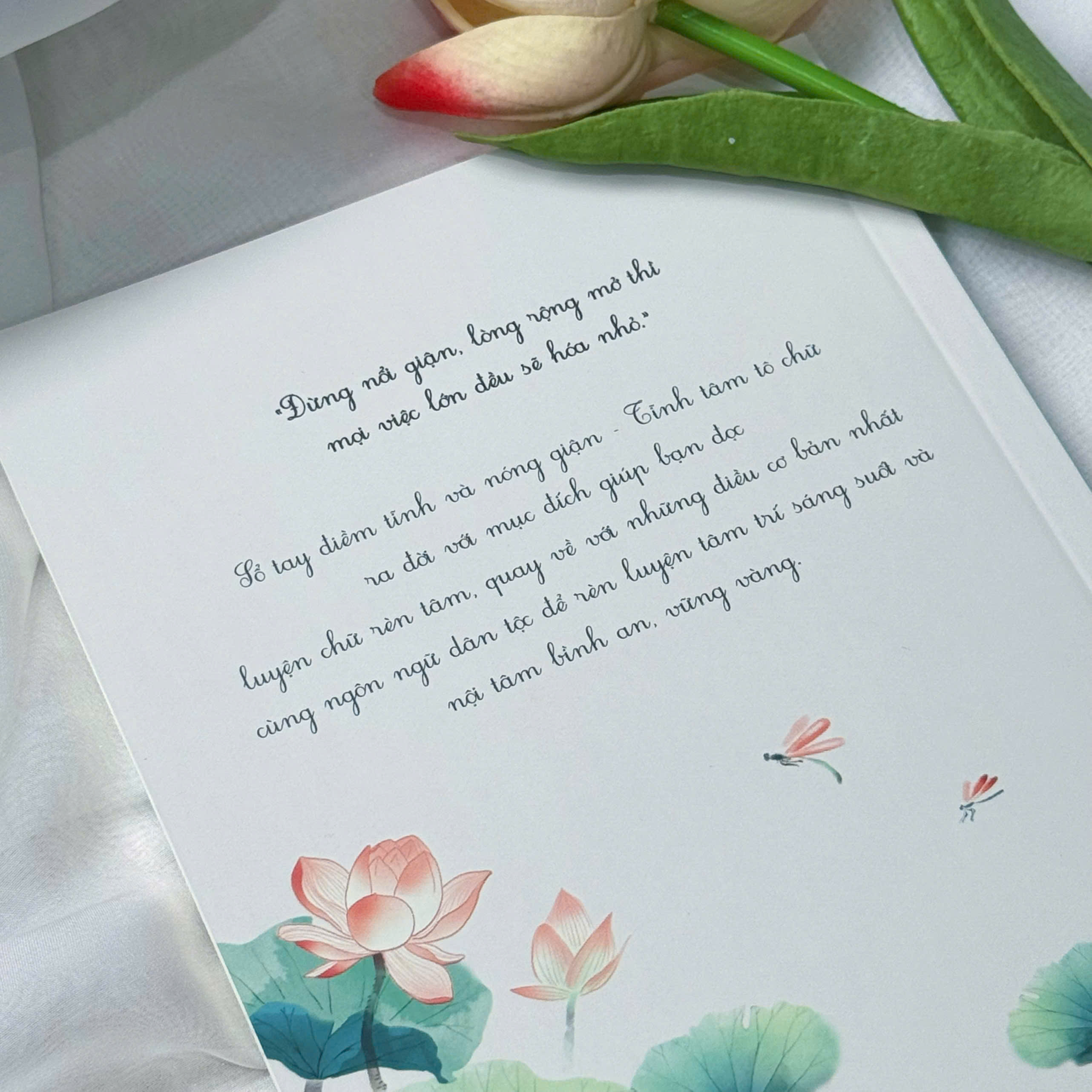 Sổ Tay Điềm Tĩnh Và Nóng Giận - Tĩnh Tâm Tô Chữ - Ảnh 6