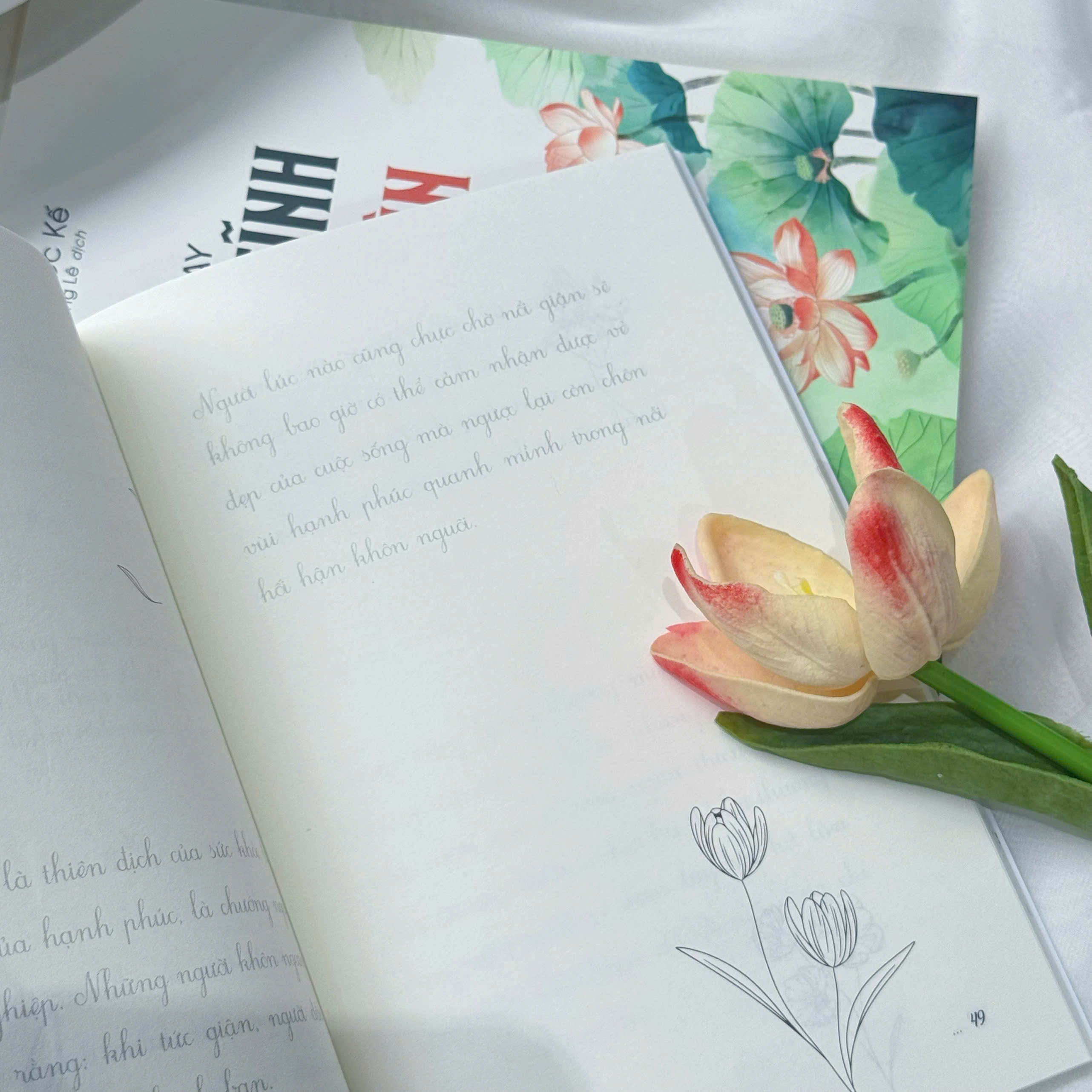 Sổ Tay Điềm Tĩnh Và Nóng Giận - Tĩnh Tâm Tô Chữ - Ảnh 7