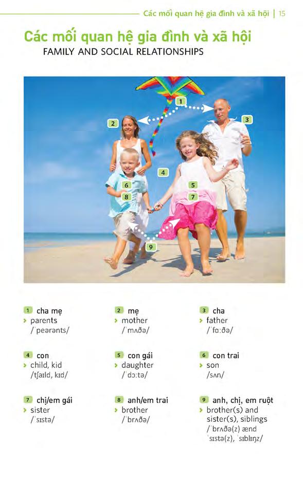sổ tay học tiếng anh bằng hình ảnh - Ảnh 14