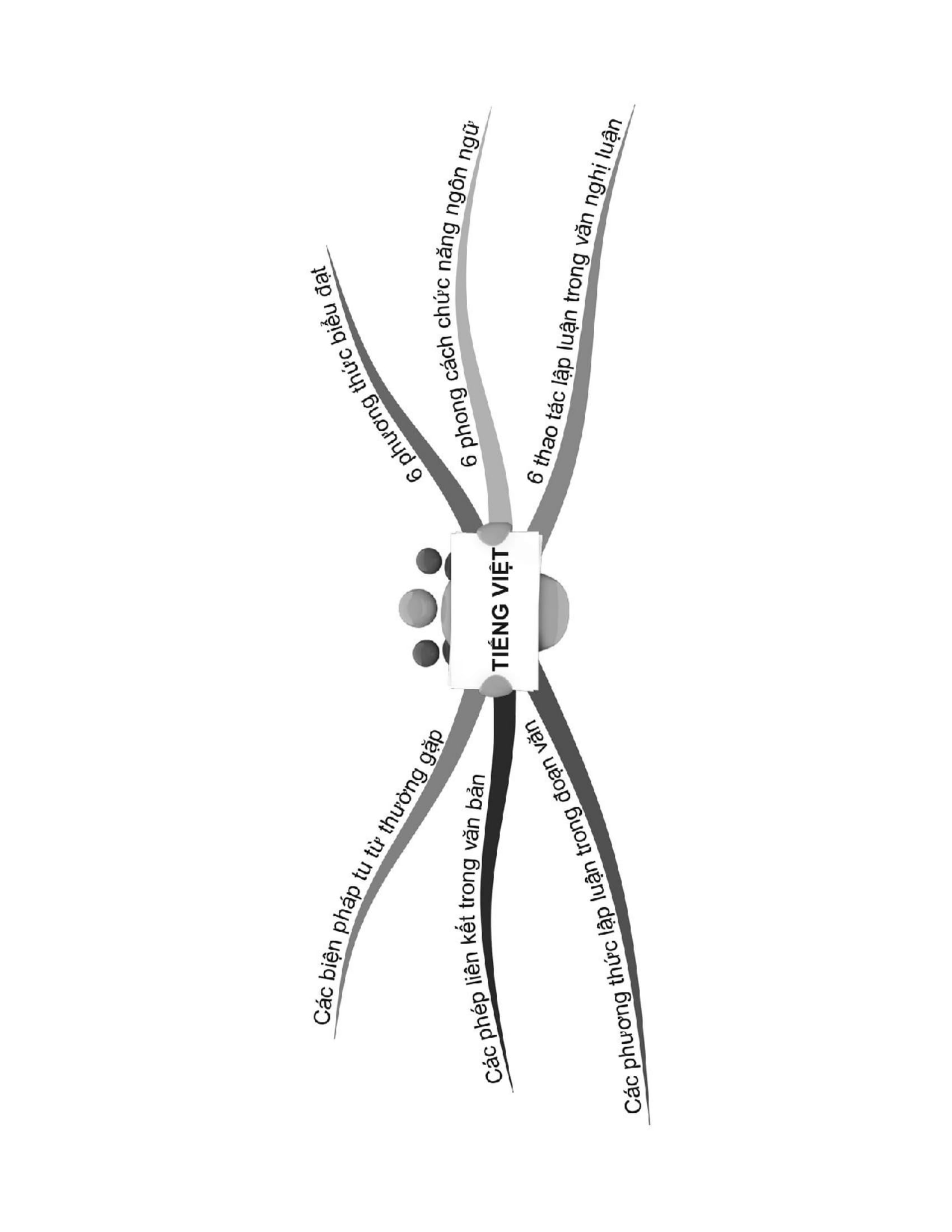 sổ tay ngữ văn cấp 3 - all in one (phiên bản mới) - Ảnh 11