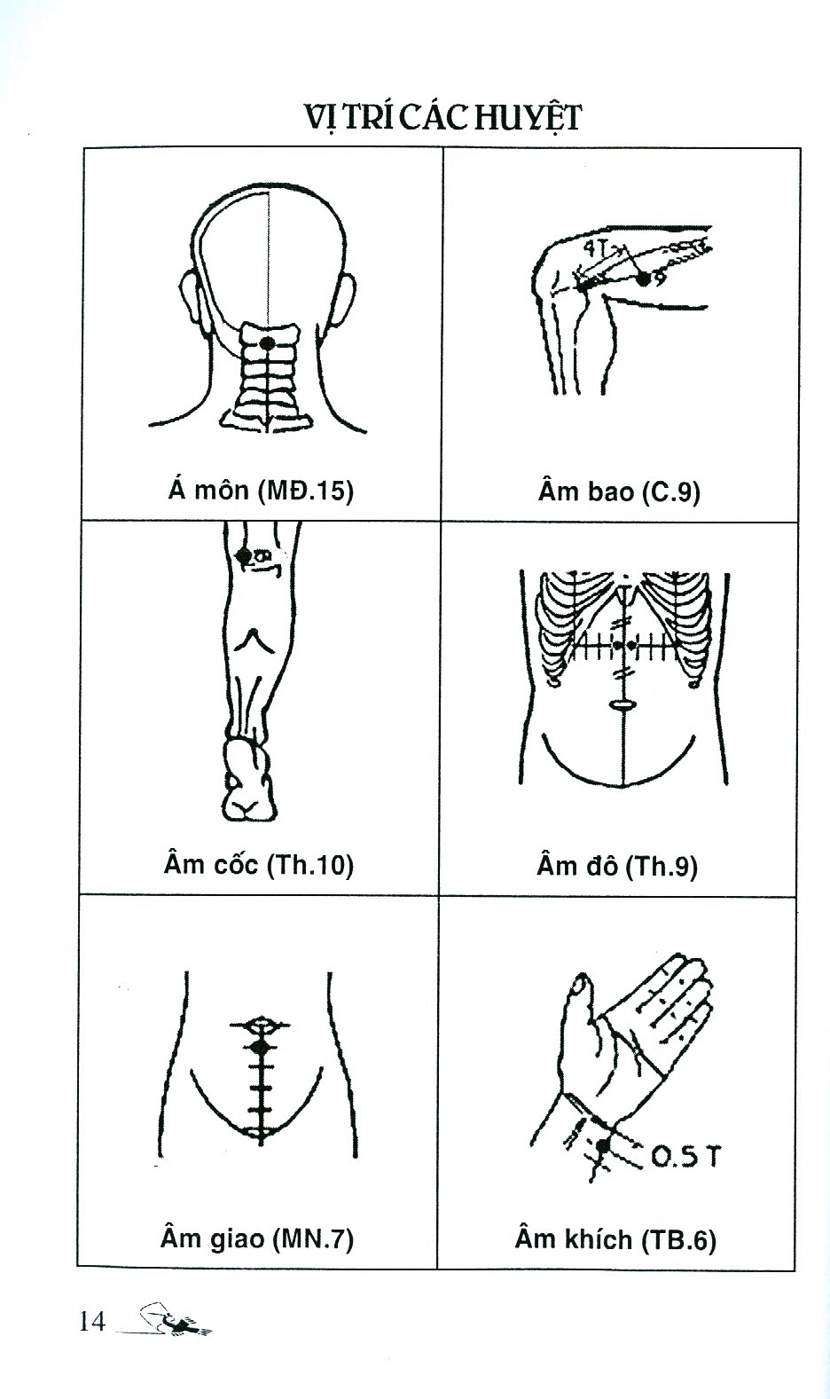 số tay tìm huyệt (tái bản 2019) - Ảnh 4
