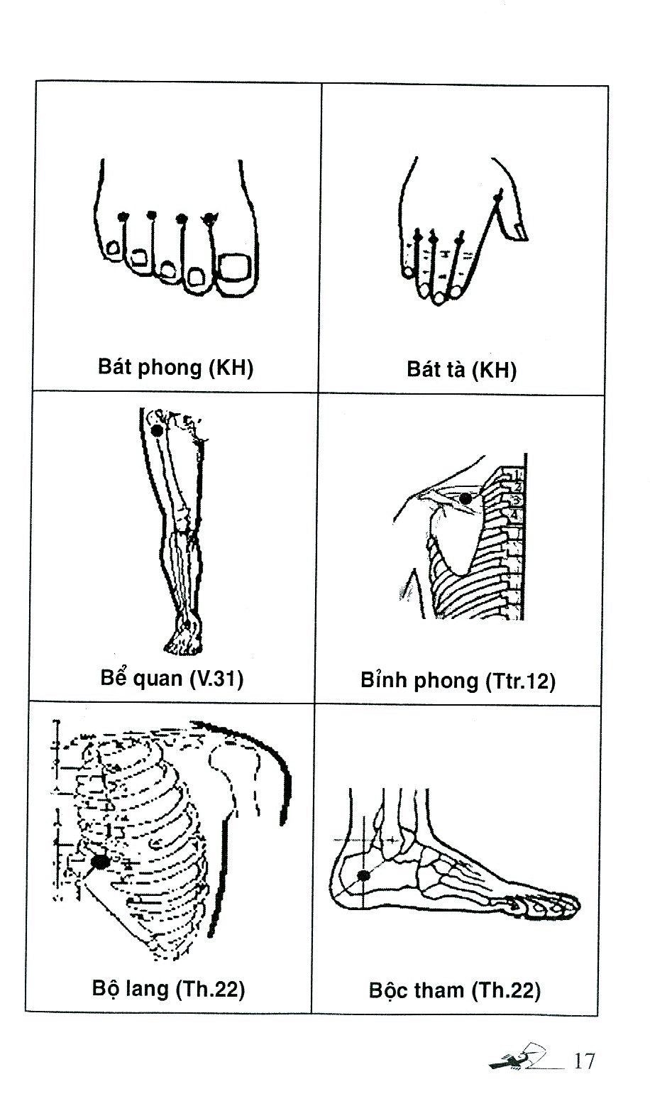 số tay tìm huyệt (tái bản 2019) - Ảnh 7