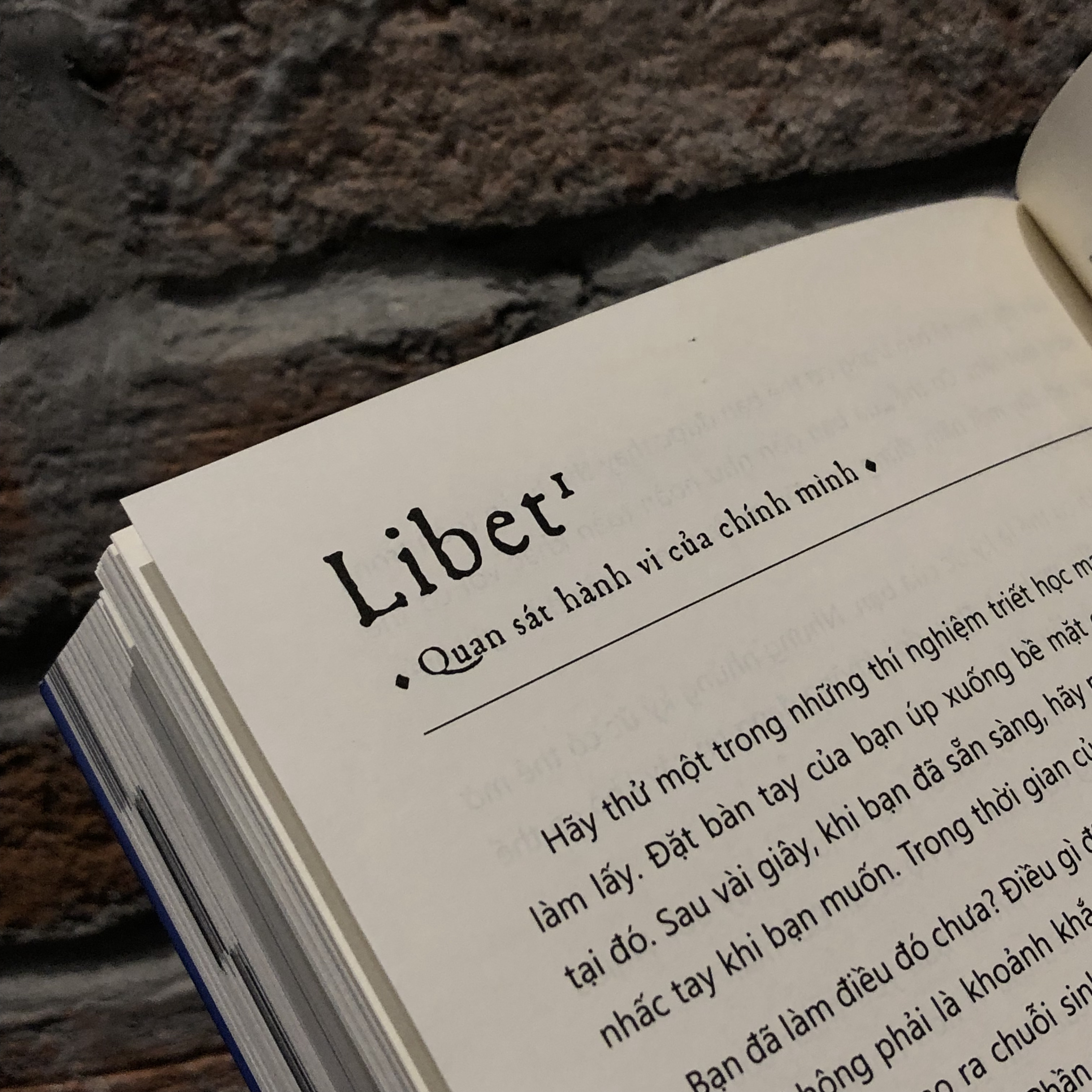 sổ tay triết học - Ảnh 8