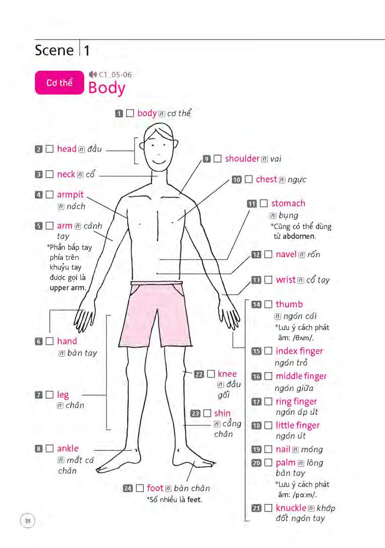 sổ tay từ vựng tiếng anh - từ lúc thức giấc đến khi đi ngủ (bao gồm sách và 1 đĩa mp3) - Ảnh 18