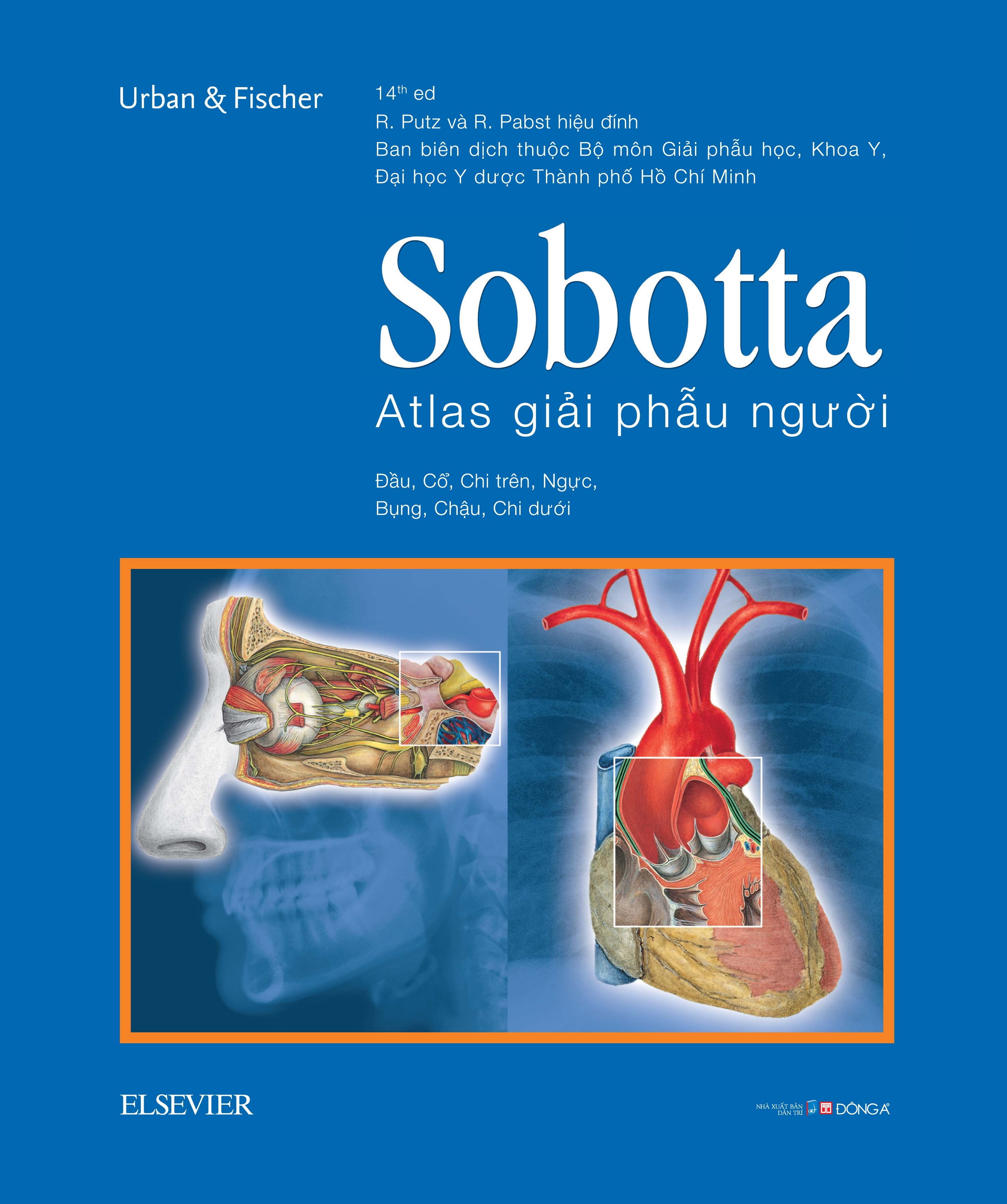 sobotta atlas giải phẫu người - Ảnh 2