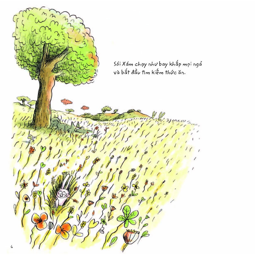 sói xám sốt sắng săn - Ảnh 6