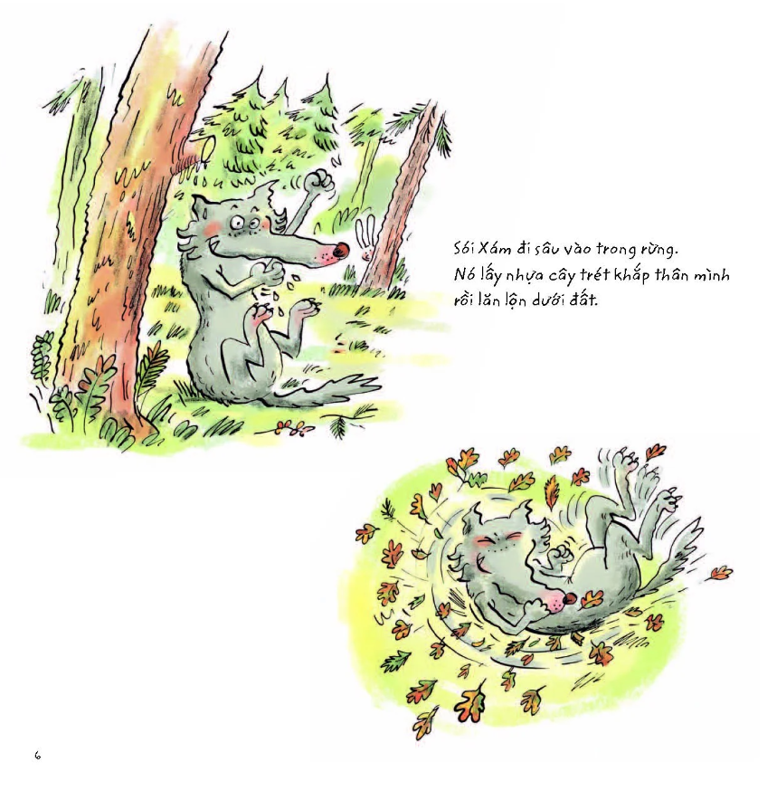 sói xám xoay xở sống - Ảnh 6