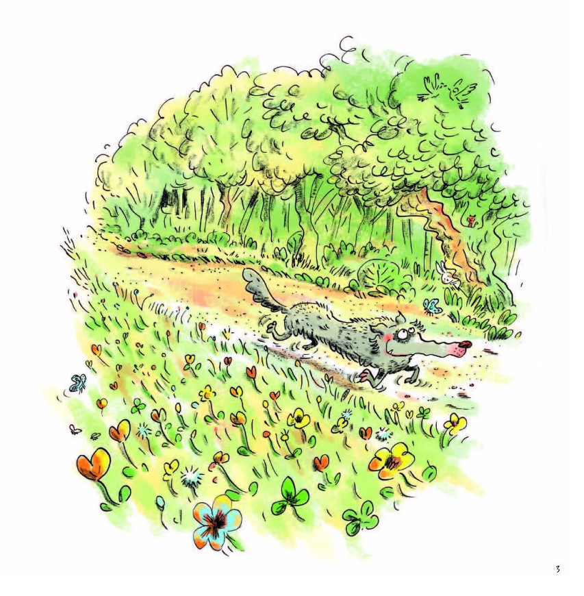 sói xám xốn xang - Ảnh 3