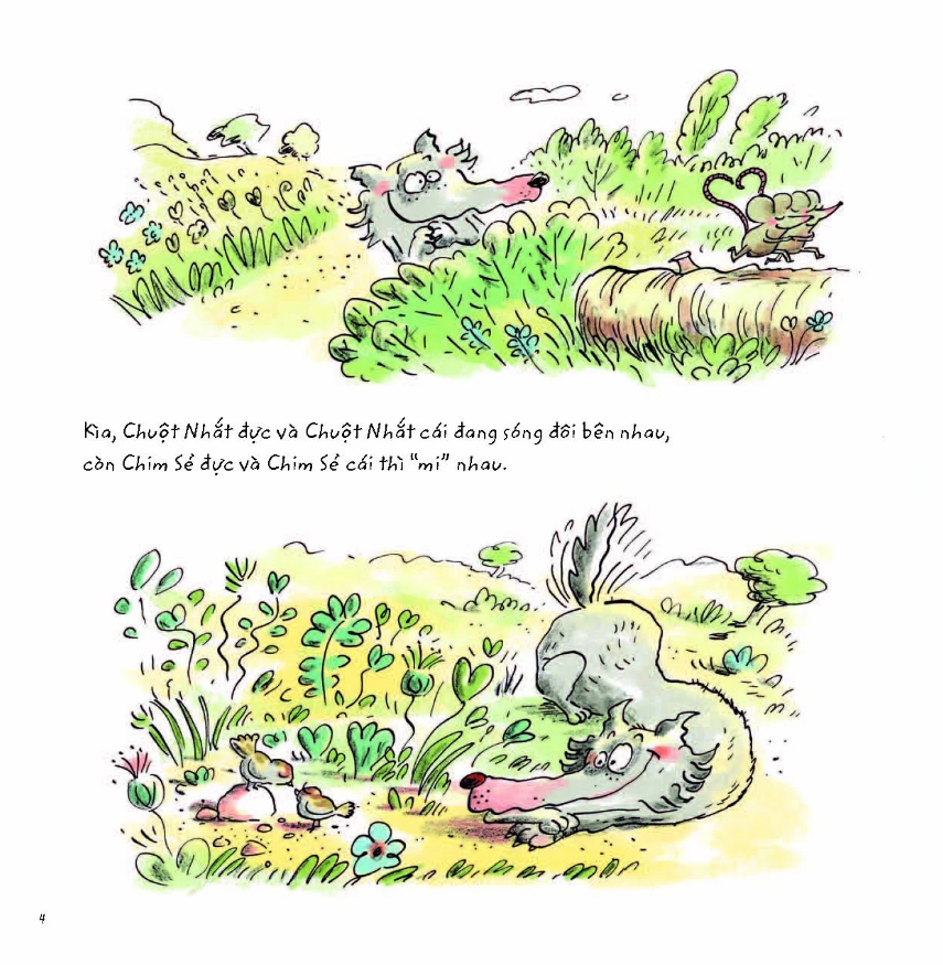 sói xám xốn xang - Ảnh 4