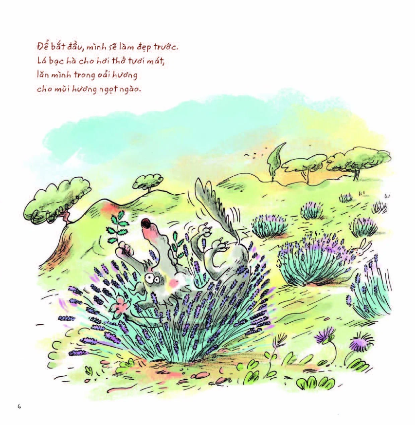 sói xám xốn xang - Ảnh 6