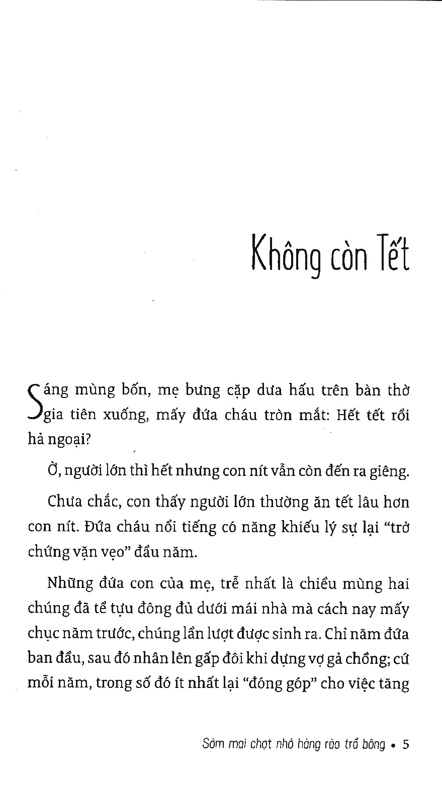 sớm mai chợt nhớ hàng rào trổ bông - Ảnh 5