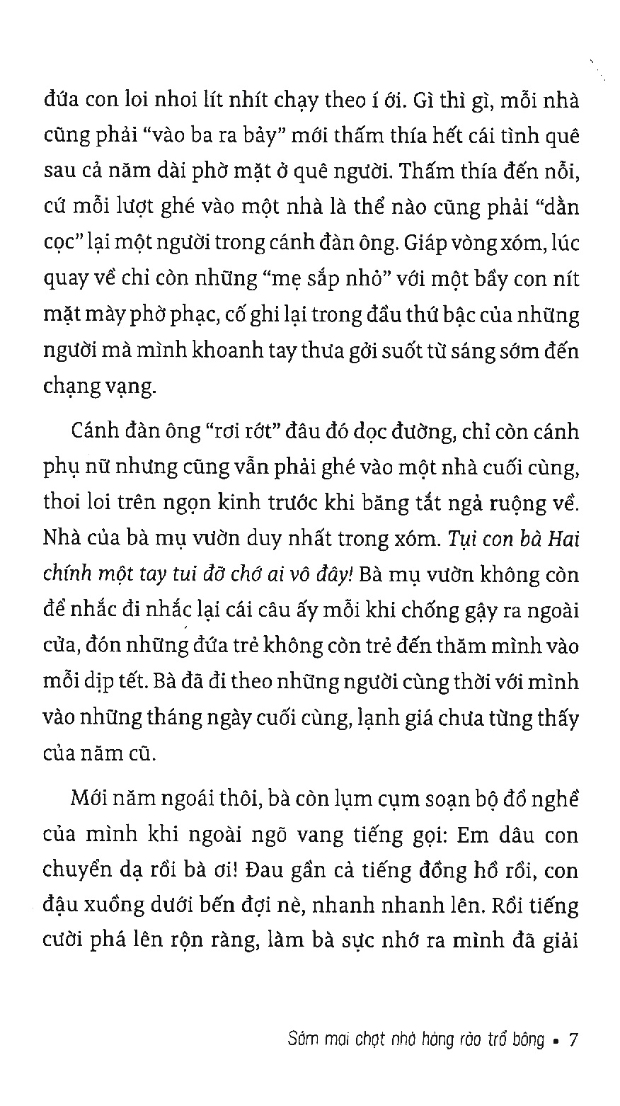 sớm mai chợt nhớ hàng rào trổ bông - Ảnh 7