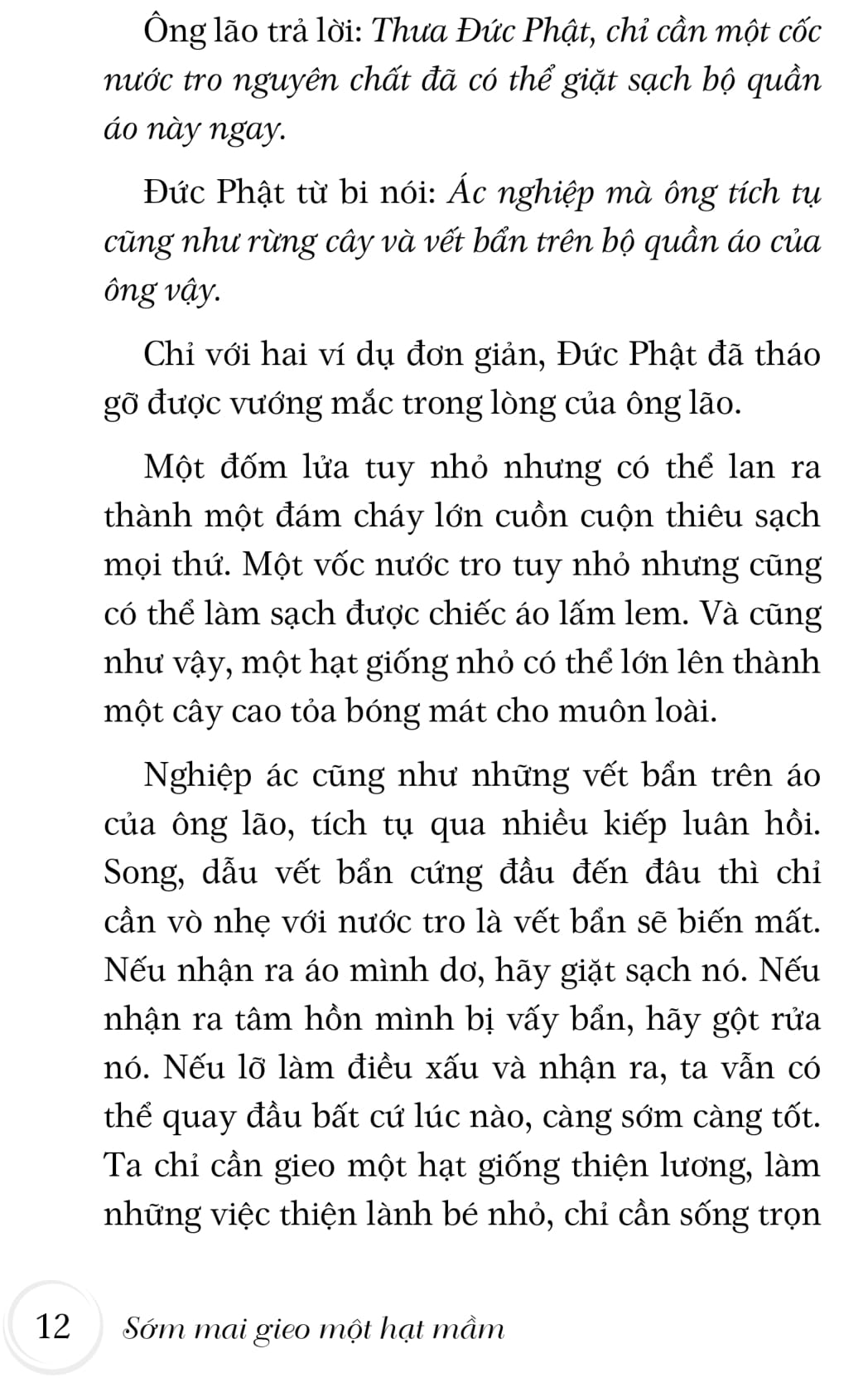 sớm mai gieo một hạt mầm - Ảnh 12