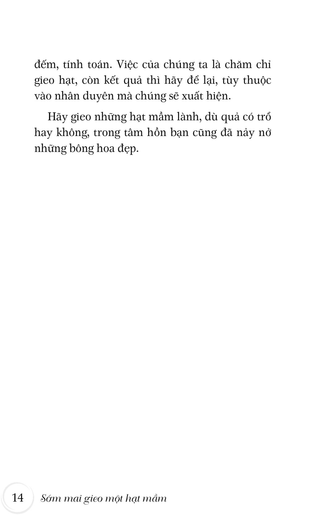 sớm mai gieo một hạt mầm - Ảnh 14
