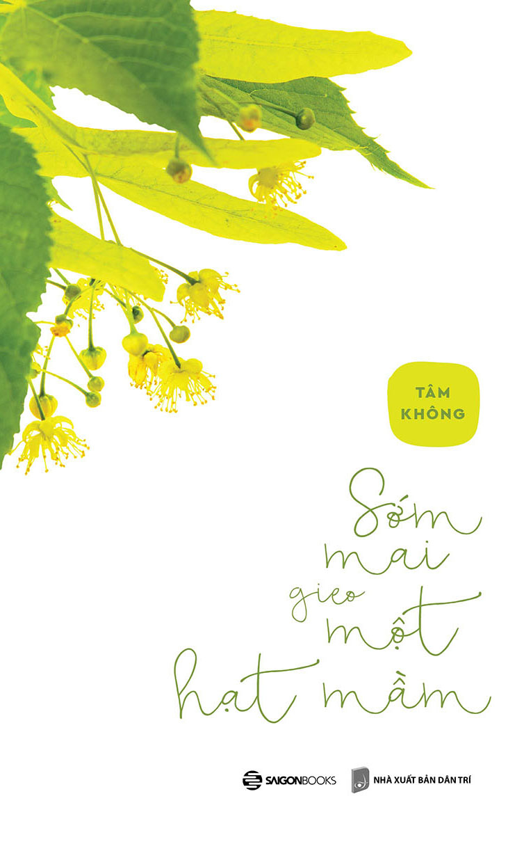 sớm mai gieo một hạt mầm - Ảnh 2