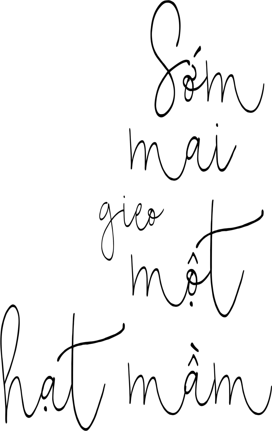 sớm mai gieo một hạt mầm - Ảnh 3