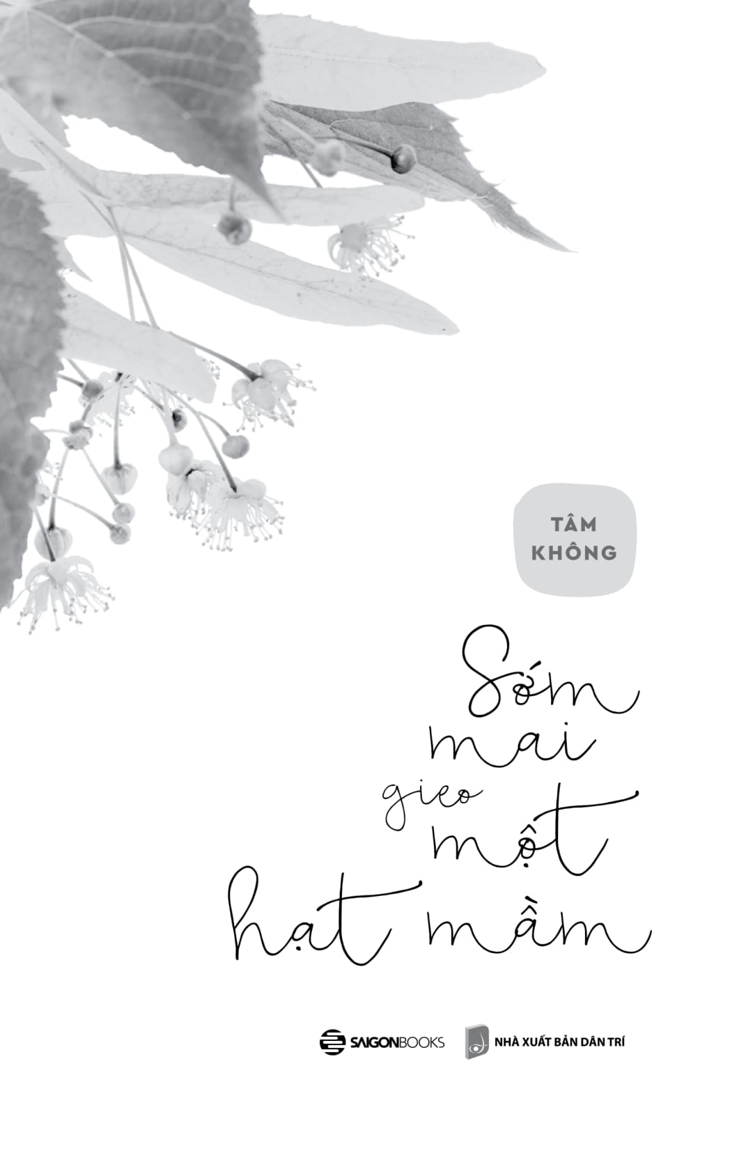 sớm mai gieo một hạt mầm - Ảnh 5