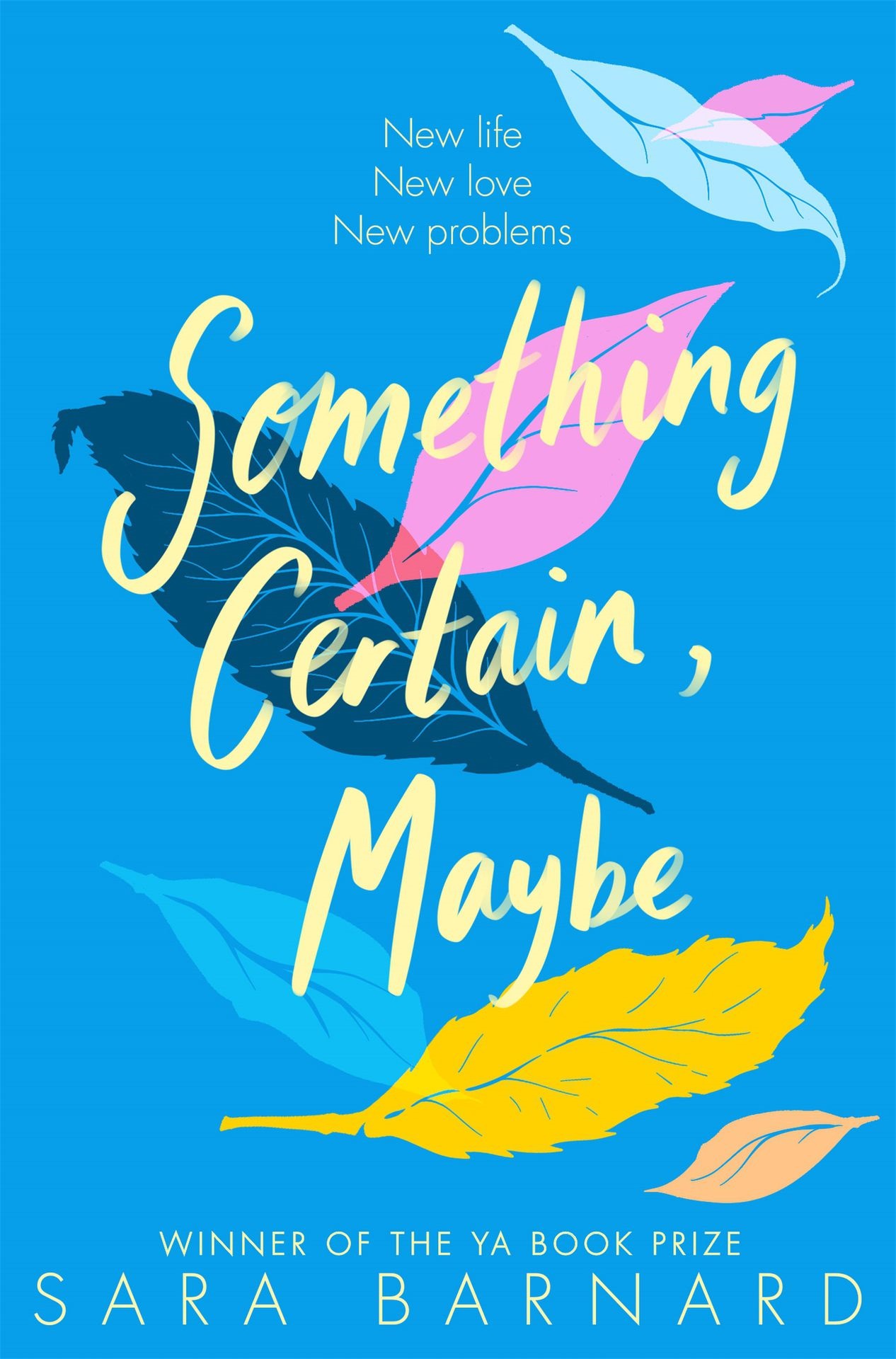 something certain, maybe - Ảnh 2