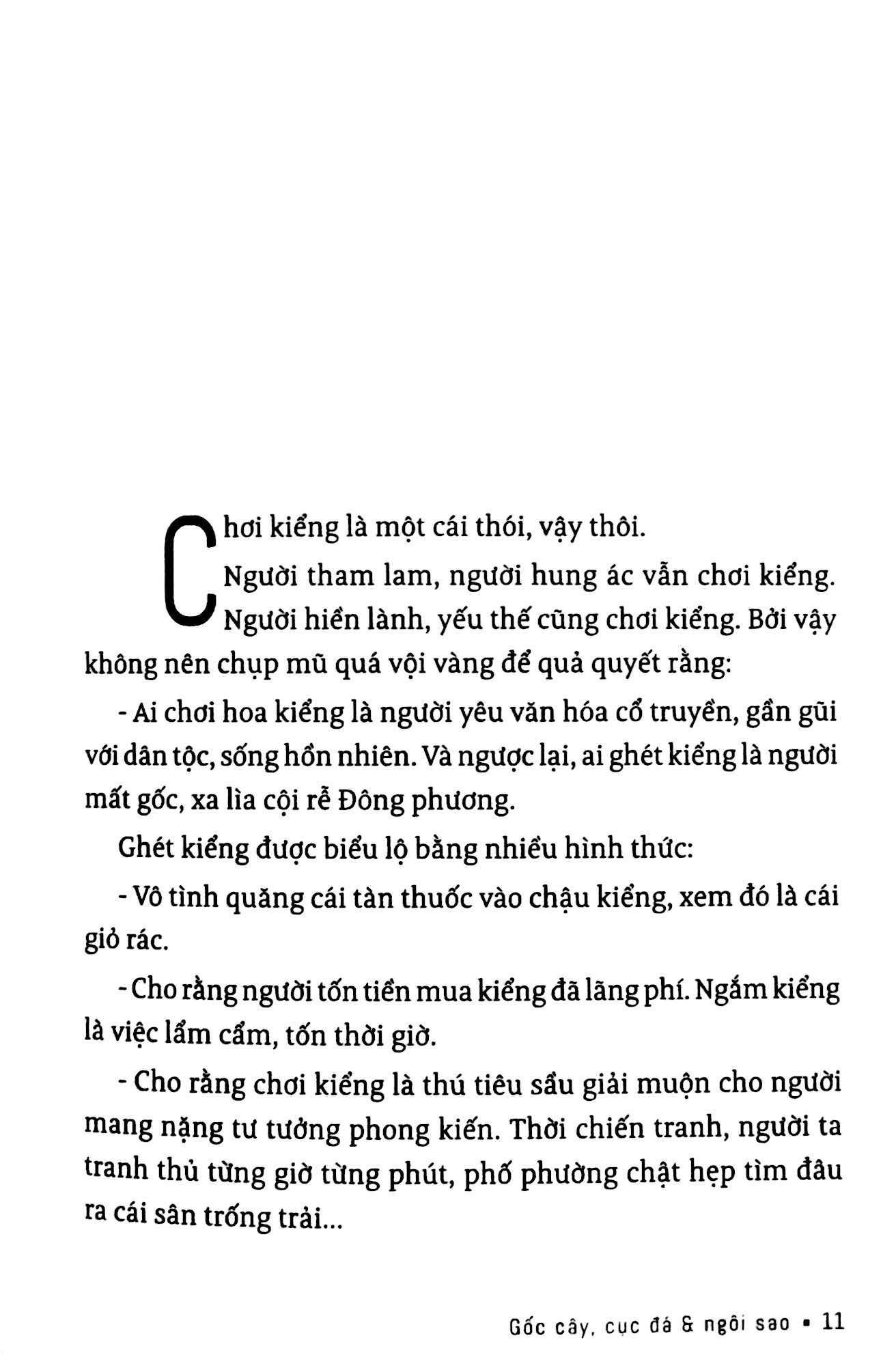 sơn nam - gốc cây cục đá và ngôi sao - danh thắng miền nam (tb 2018) - Ảnh 5