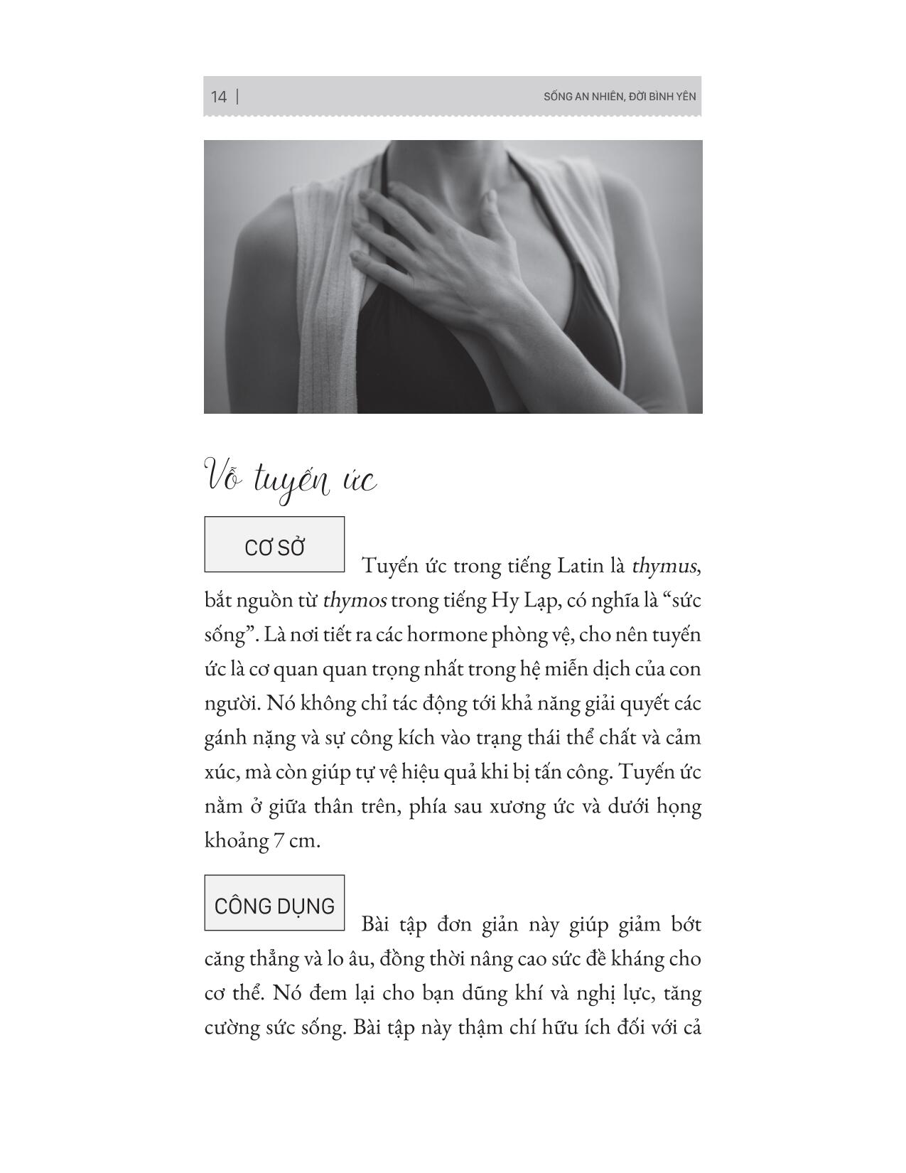 sống an nhiên đời bình yên - Ảnh 5