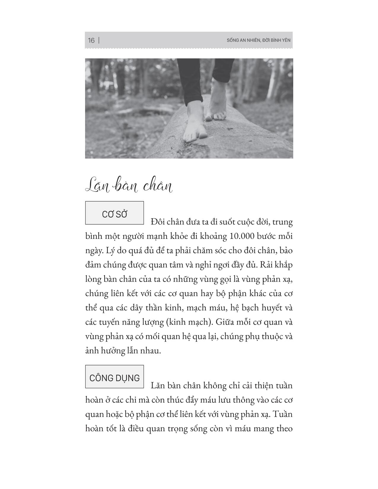 sống an nhiên đời bình yên - Ảnh 7