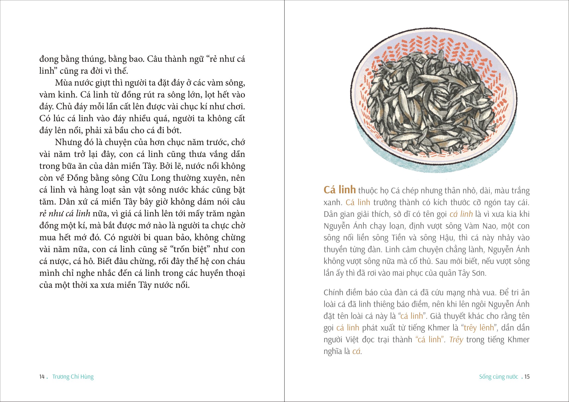 Sống Cùng Nước - Ảnh 4