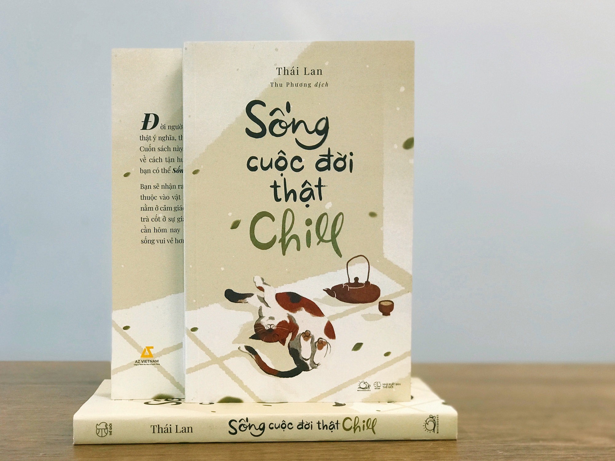 Sống Cuộc Đời Thật Chill - Ảnh 6