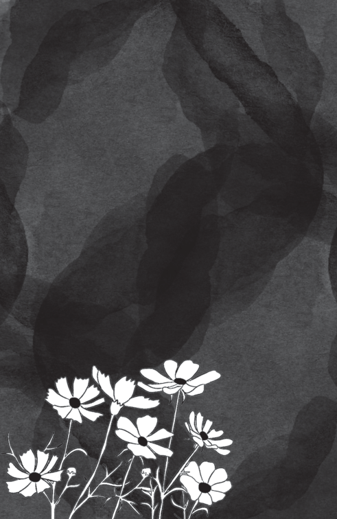 sống đẹp mỗi ngày - khoan dung và biết ơn - Ảnh 5