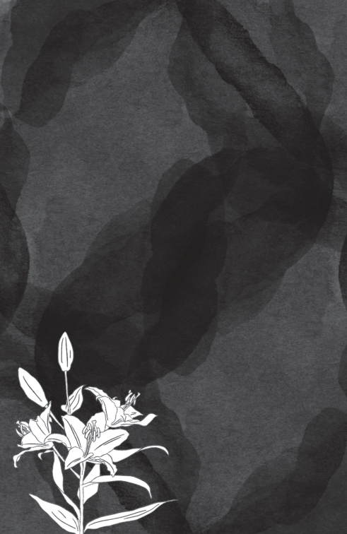 sống đẹp mỗi ngày - khoan dung và biết ơn - Ảnh 9