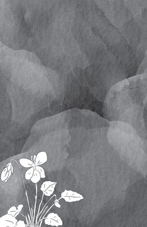 sống đẹp mỗi ngày - lạc quan và hy vọng - Ảnh 12