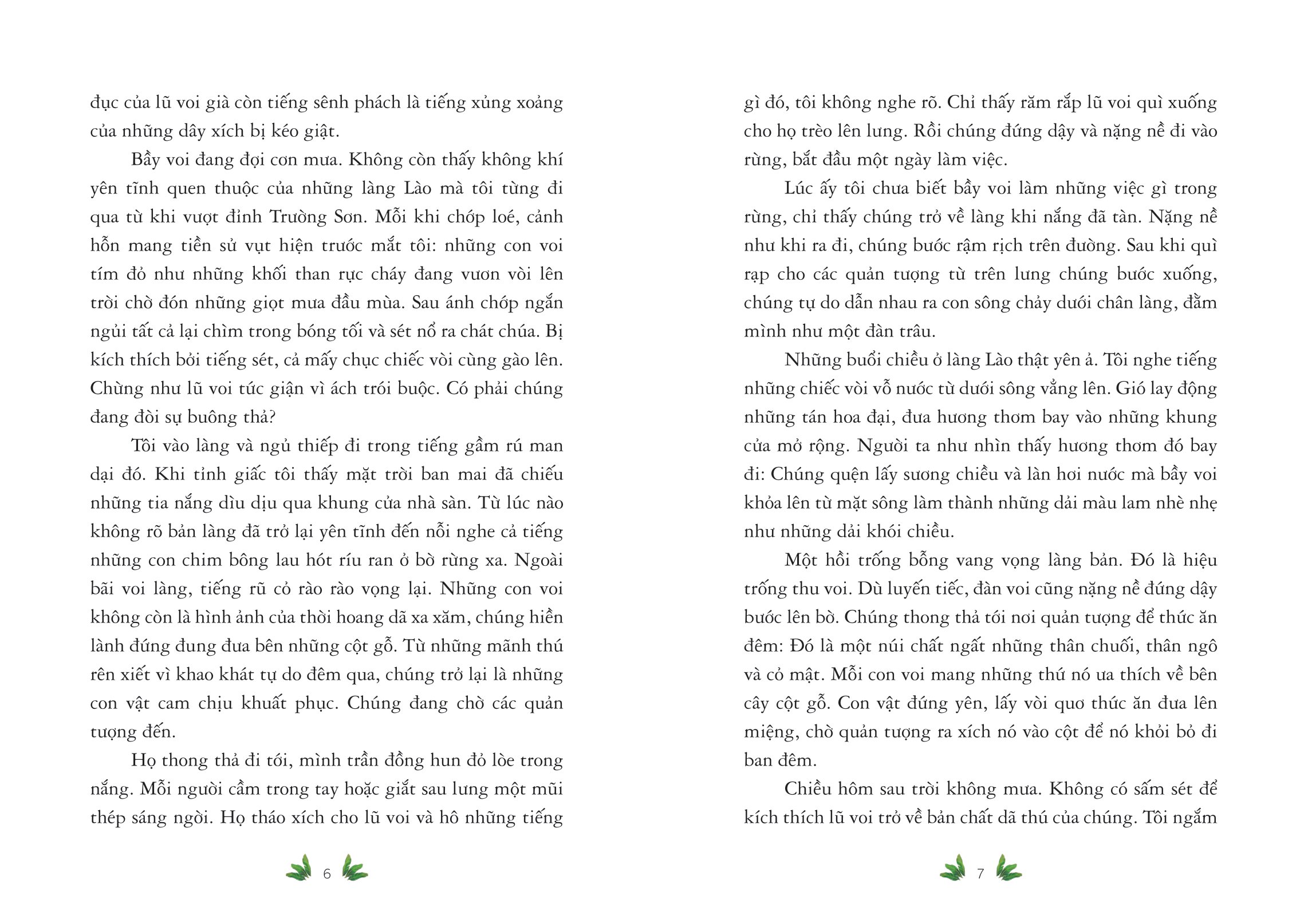 sống giữa bầy voi (tái bản 2024) - Ảnh 5