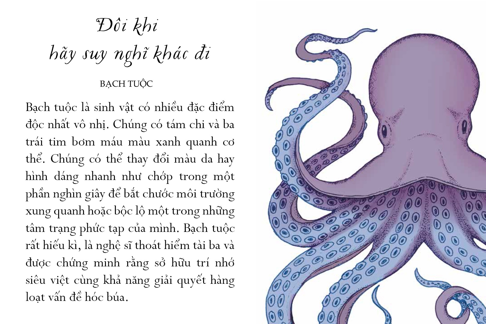 sống một đời tựa biển khơi - những bài học trí tuệ nhẹ nhàng sâu lắng của đại dương - Ảnh 10