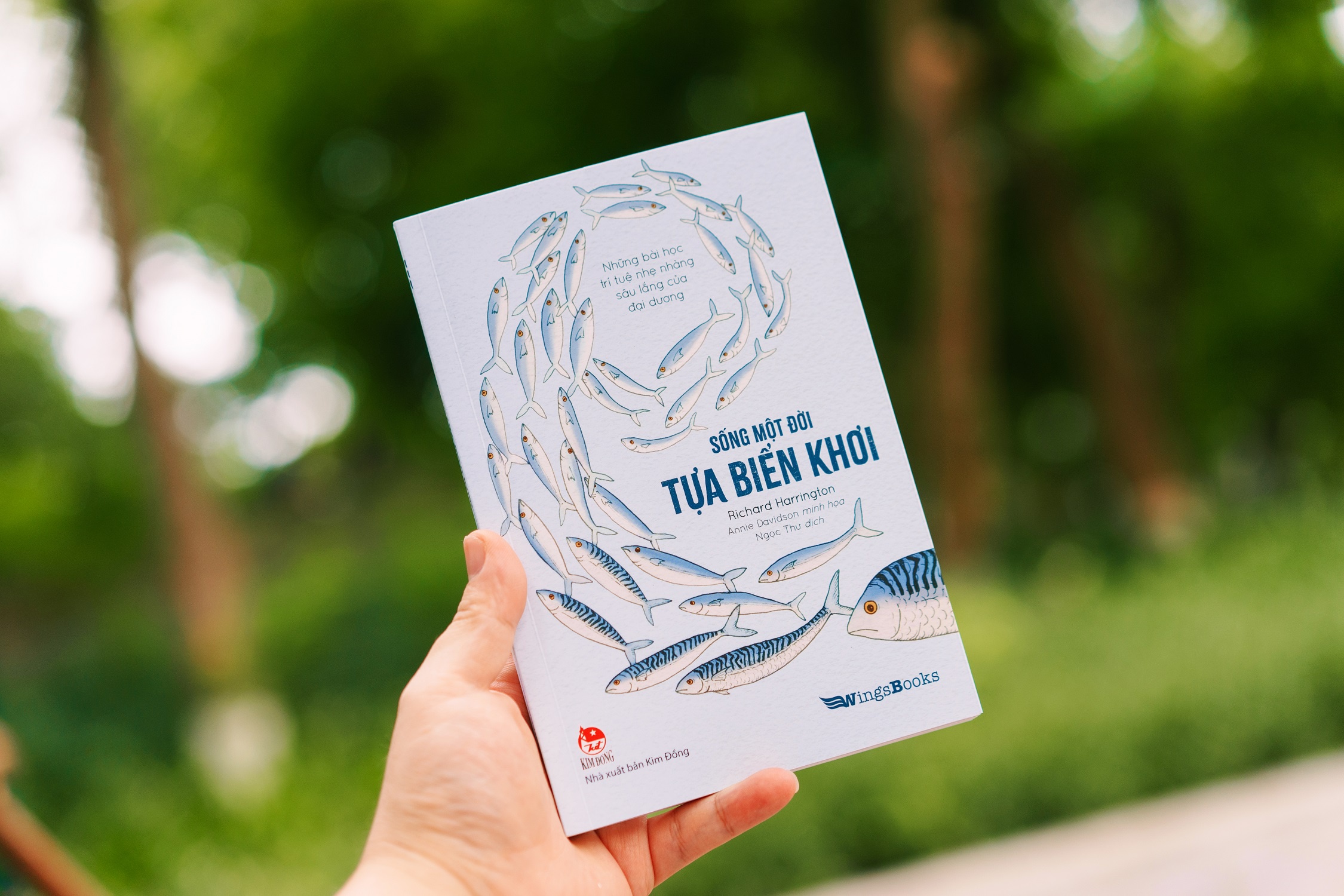 sống một đời tựa biển khơi - những bài học trí tuệ nhẹ nhàng sâu lắng của đại dương - Ảnh 11