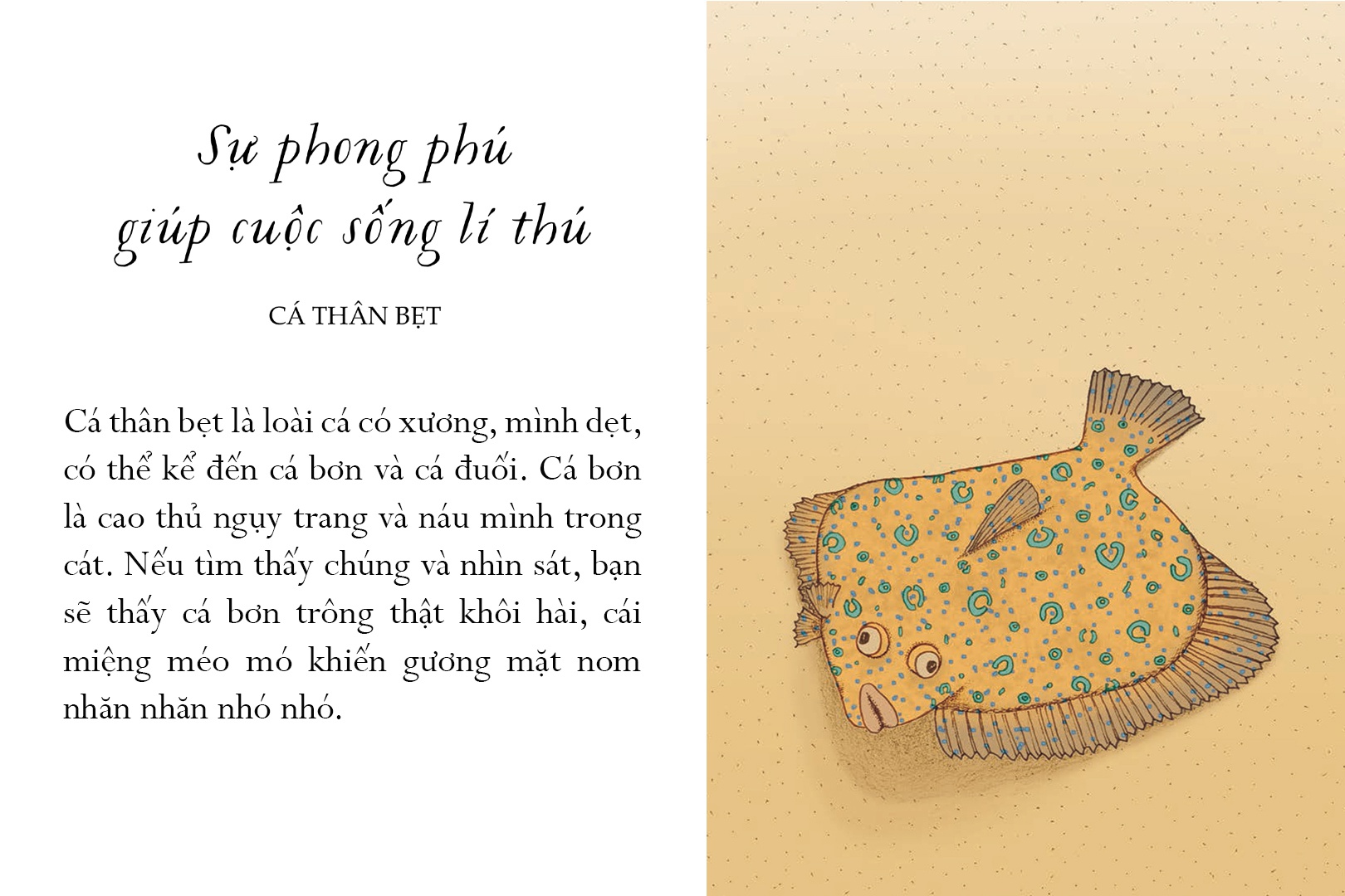 sống một đời tựa biển khơi - những bài học trí tuệ nhẹ nhàng sâu lắng của đại dương - Ảnh 6