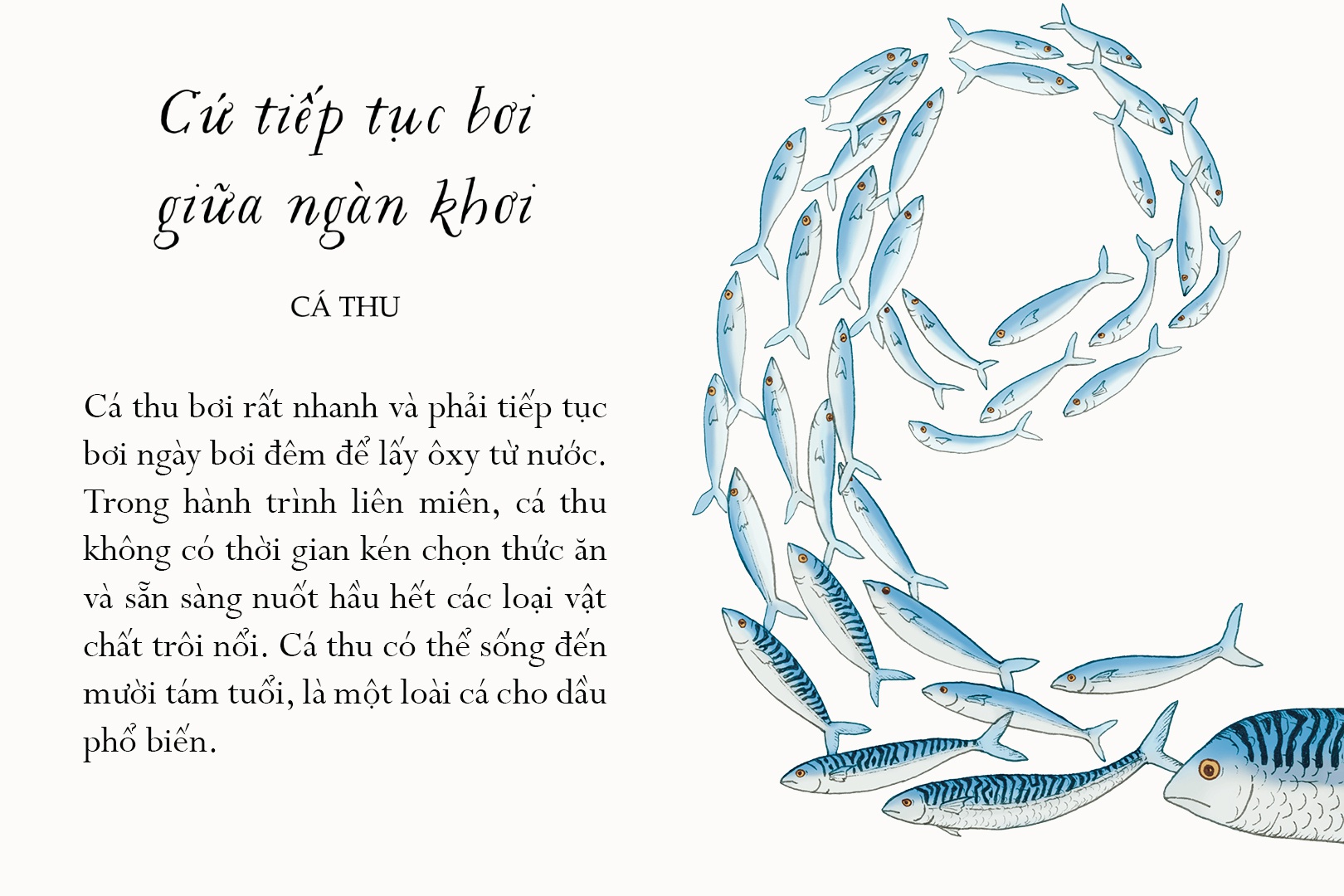 sống một đời tựa biển khơi - những bài học trí tuệ nhẹ nhàng sâu lắng của đại dương - Ảnh 8