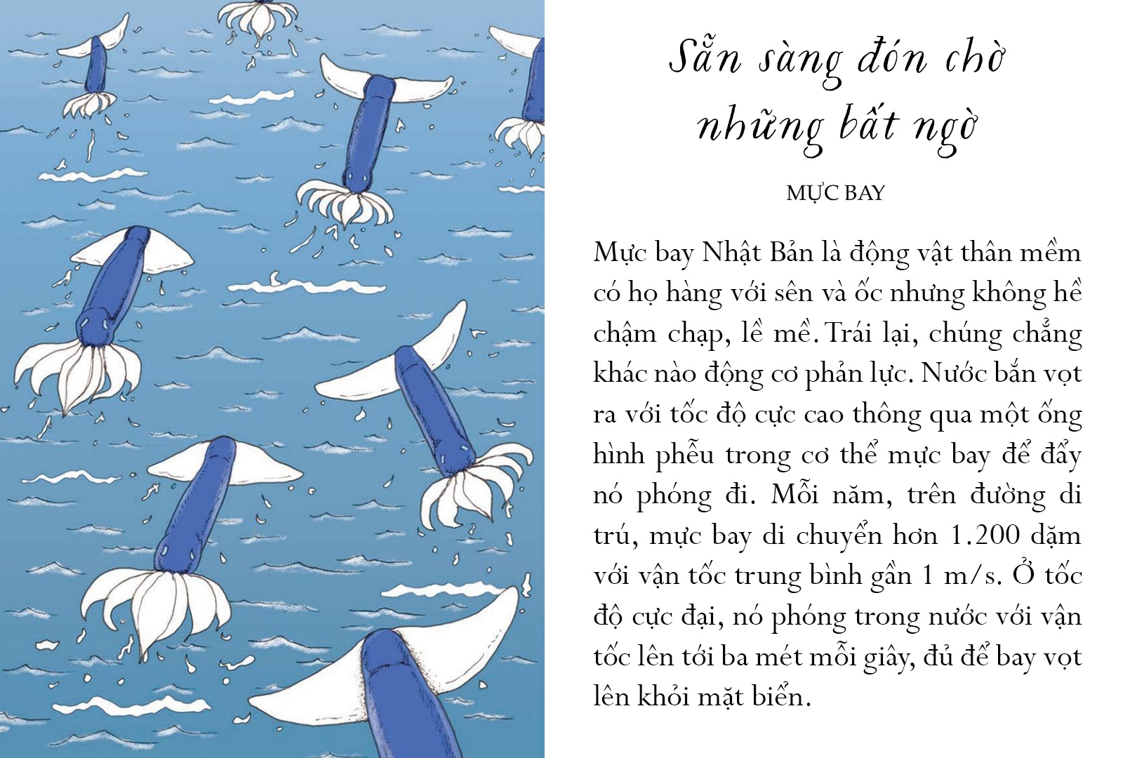 sống một đời tựa biển khơi - những bài học trí tuệ nhẹ nhàng sâu lắng của đại dương - Ảnh 9