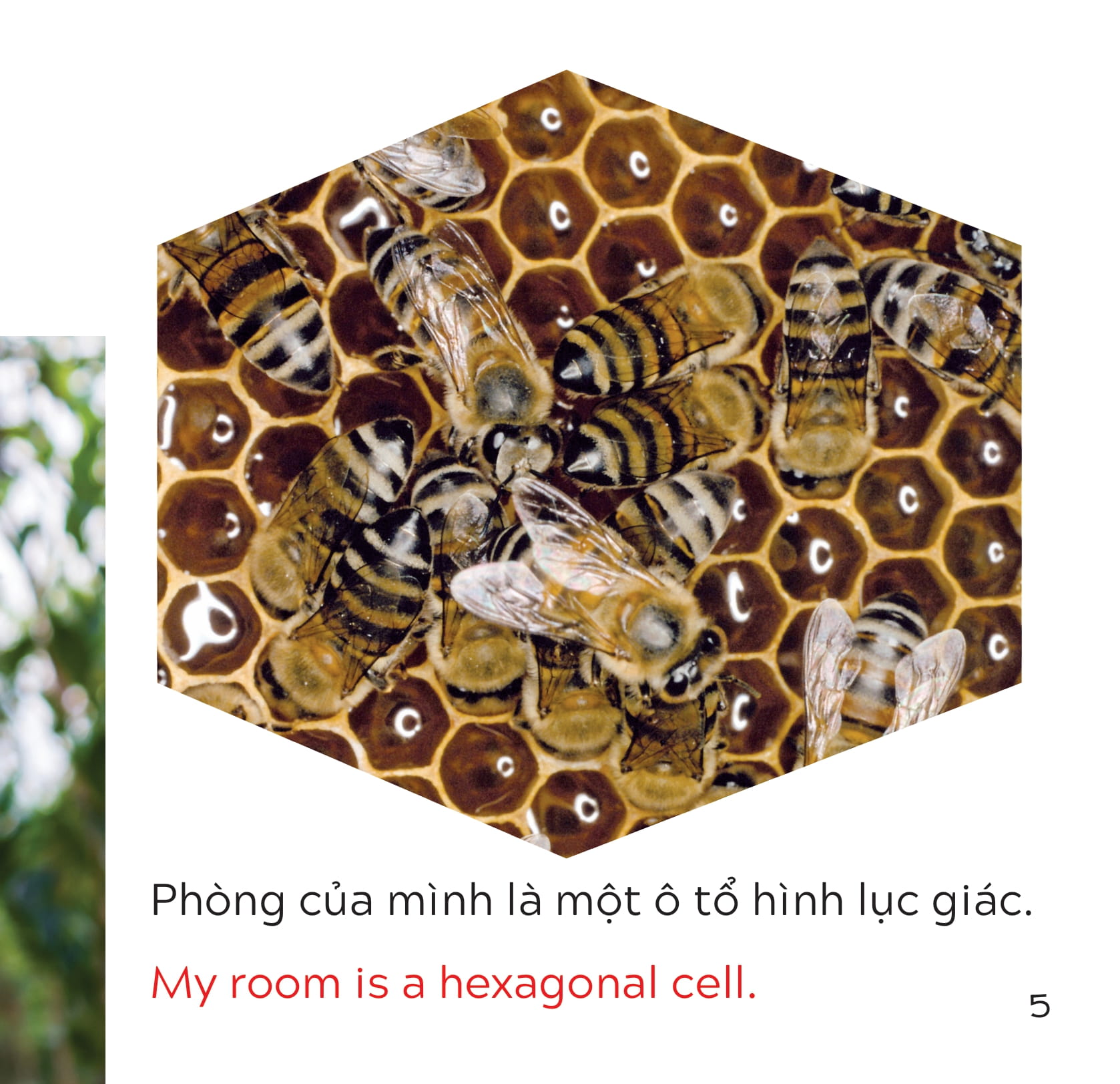 song ngữ việt anh - khám phá thế giới - bạn sống ở đâu thế? - where do you live? - Ảnh 6