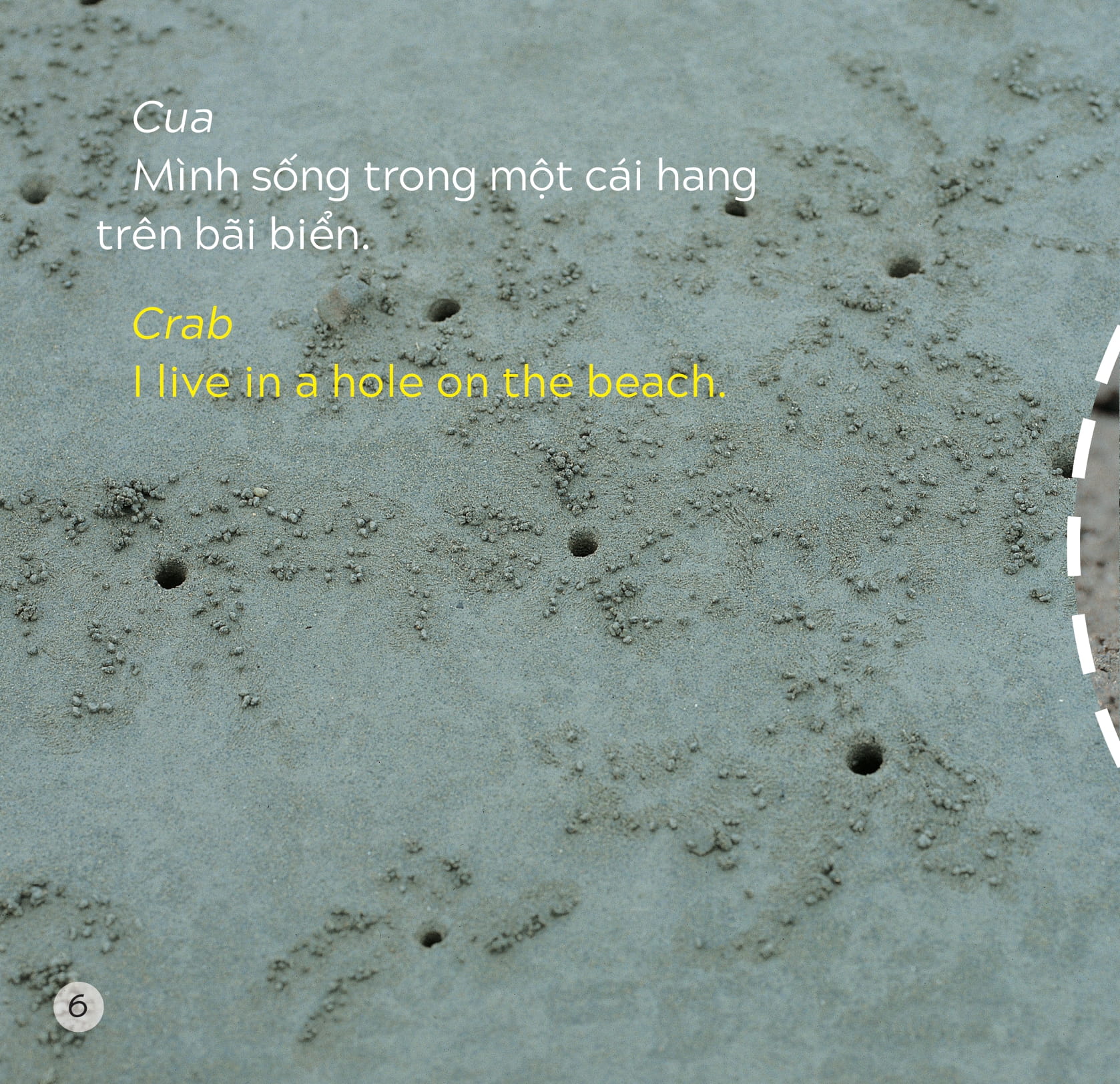 song ngữ việt anh - khám phá thế giới - bạn sống ở đâu thế? - where do you live? - Ảnh 7