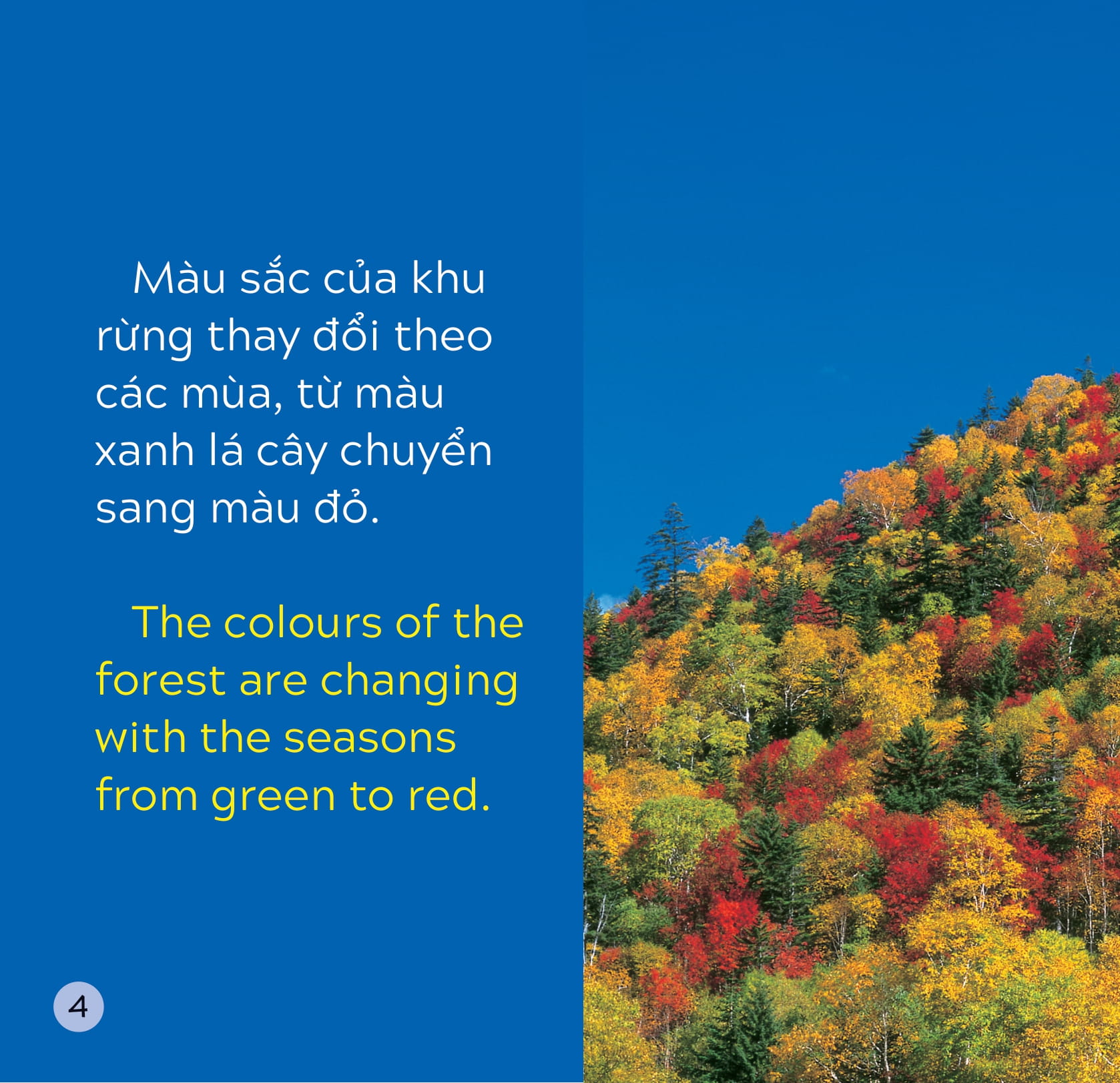 song ngữ việt anh - khám phá thế giới - các màu sắc trên trái đất - colours on earth - Ảnh 5