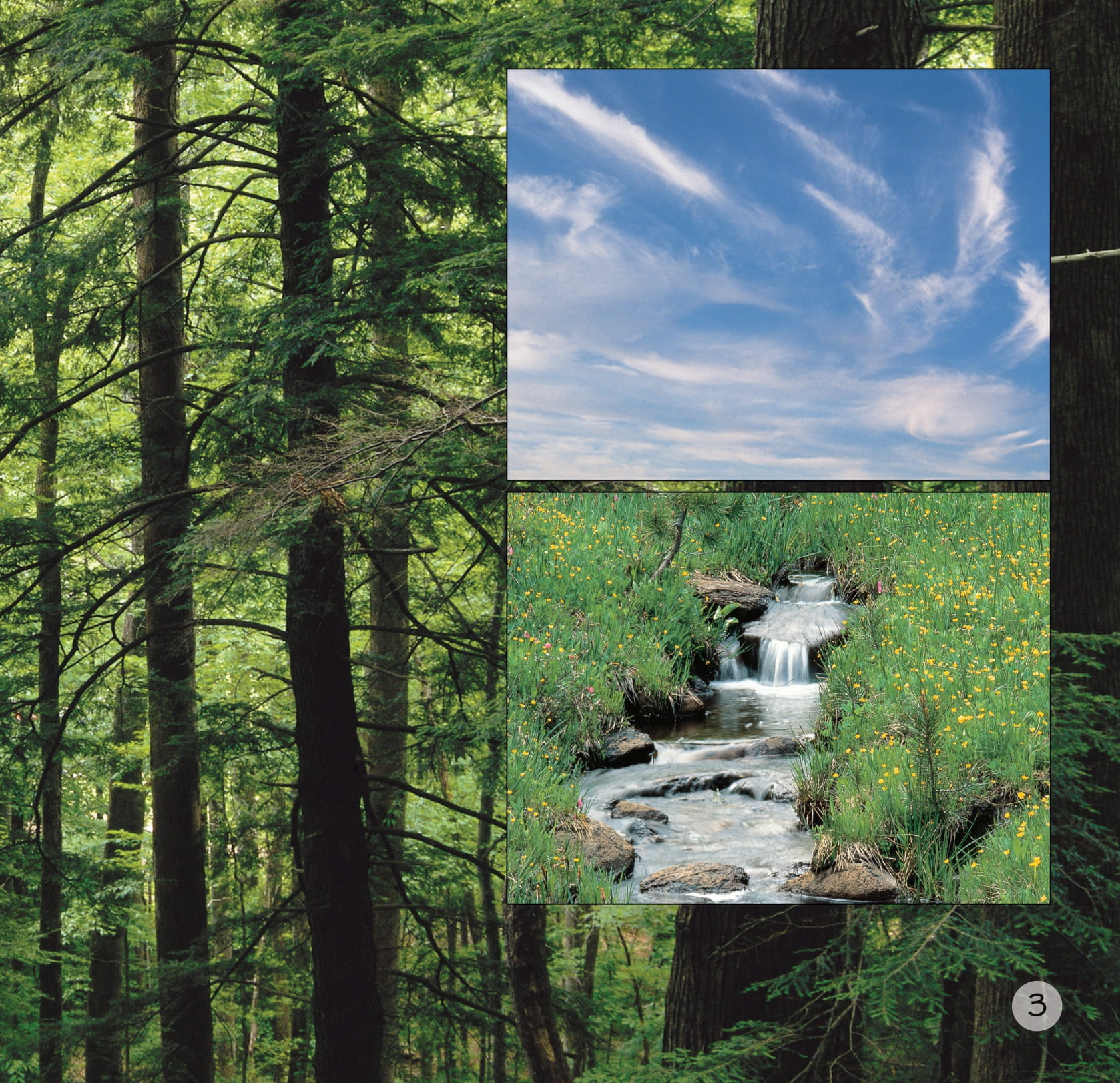 song ngữ việt anh - khám phá thế giới - hành tinh xinh đẹp - beautiful planet - Ảnh 4