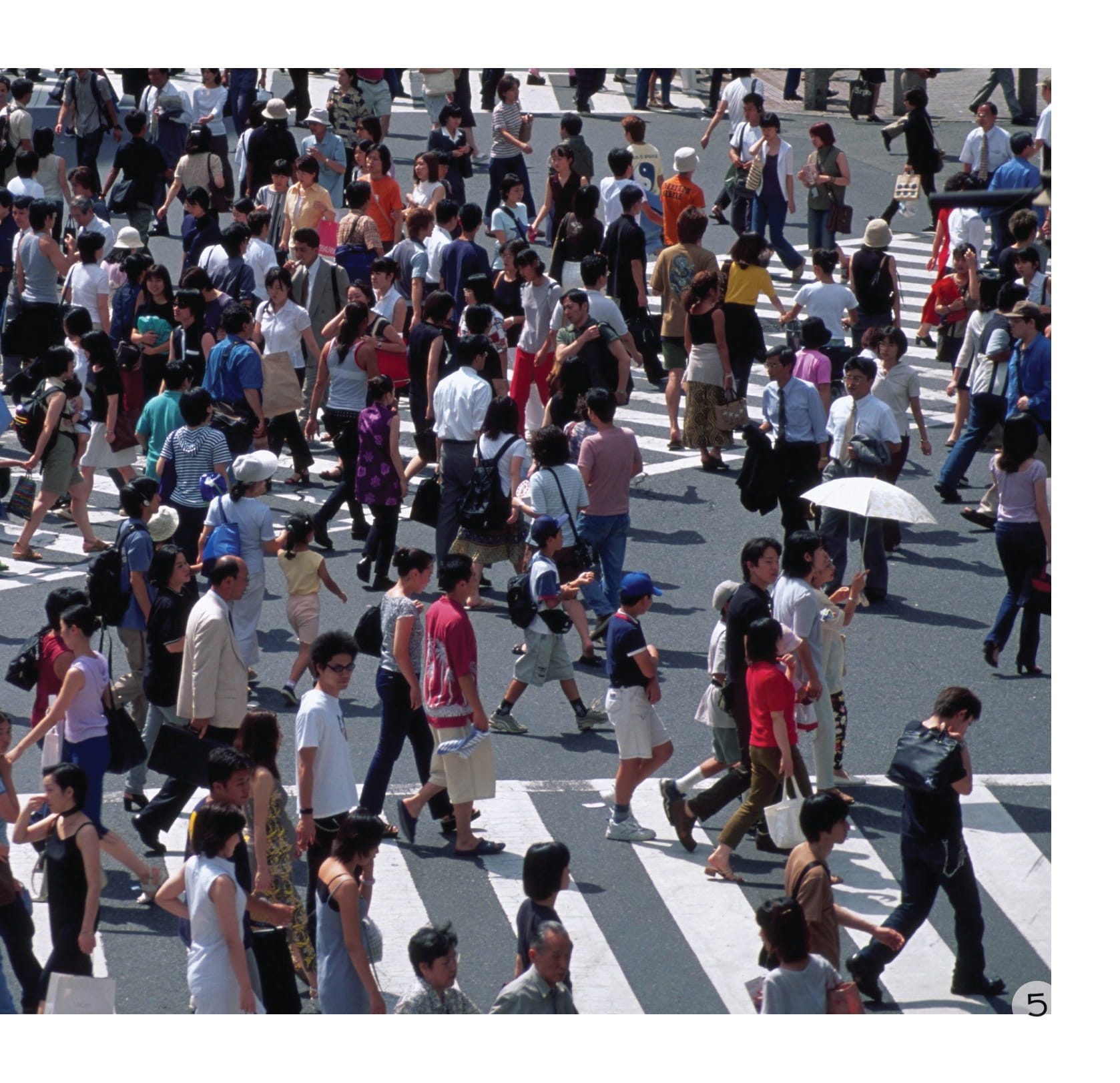 song ngữ việt anh - khám phá thế giới - hành tinh xinh đẹp - beautiful planet - Ảnh 6