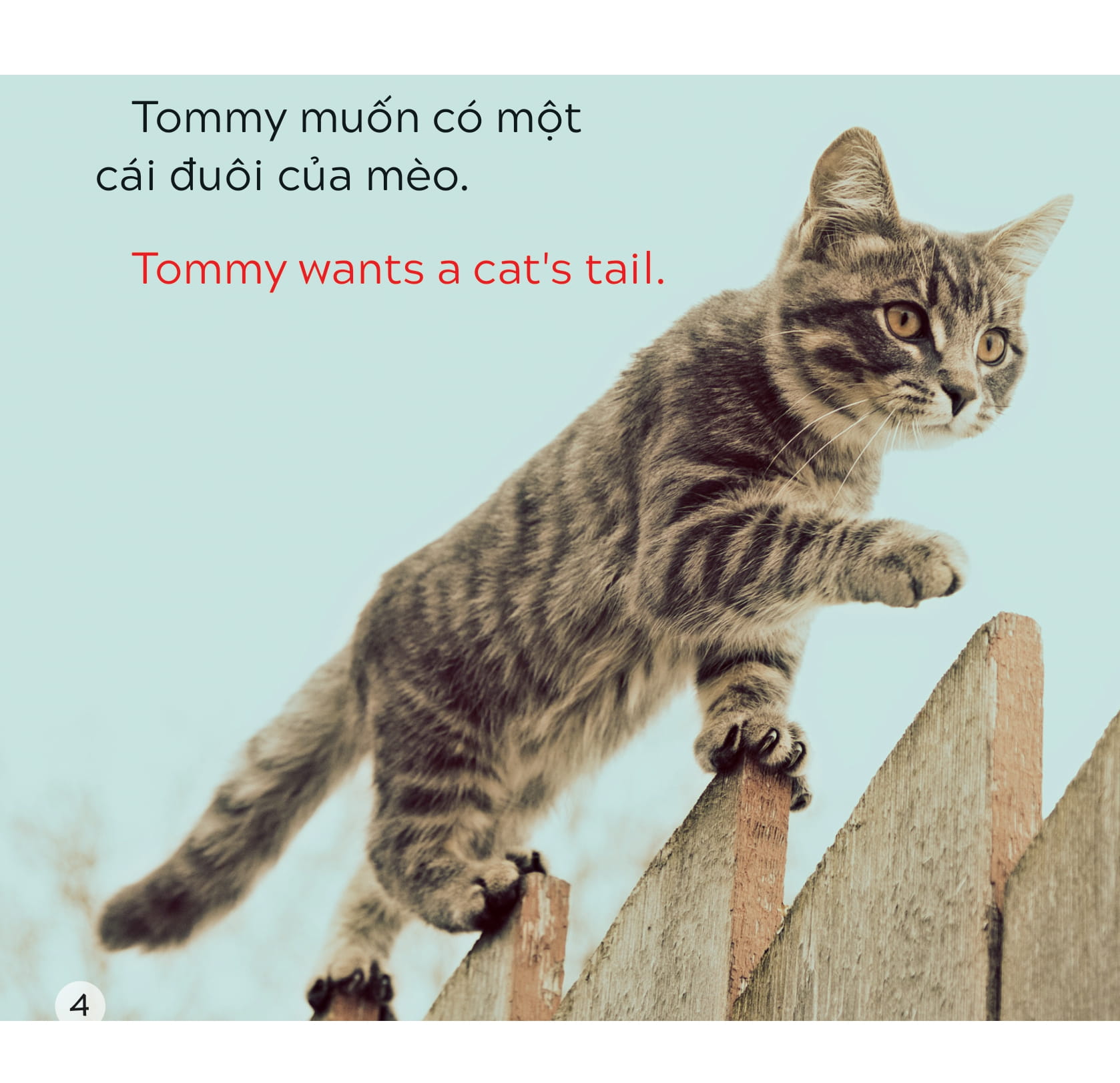 song ngữ việt anh - khám phá thế giới - tommy muốn có một cái đuôi - tommy wants a tail - Ảnh 5