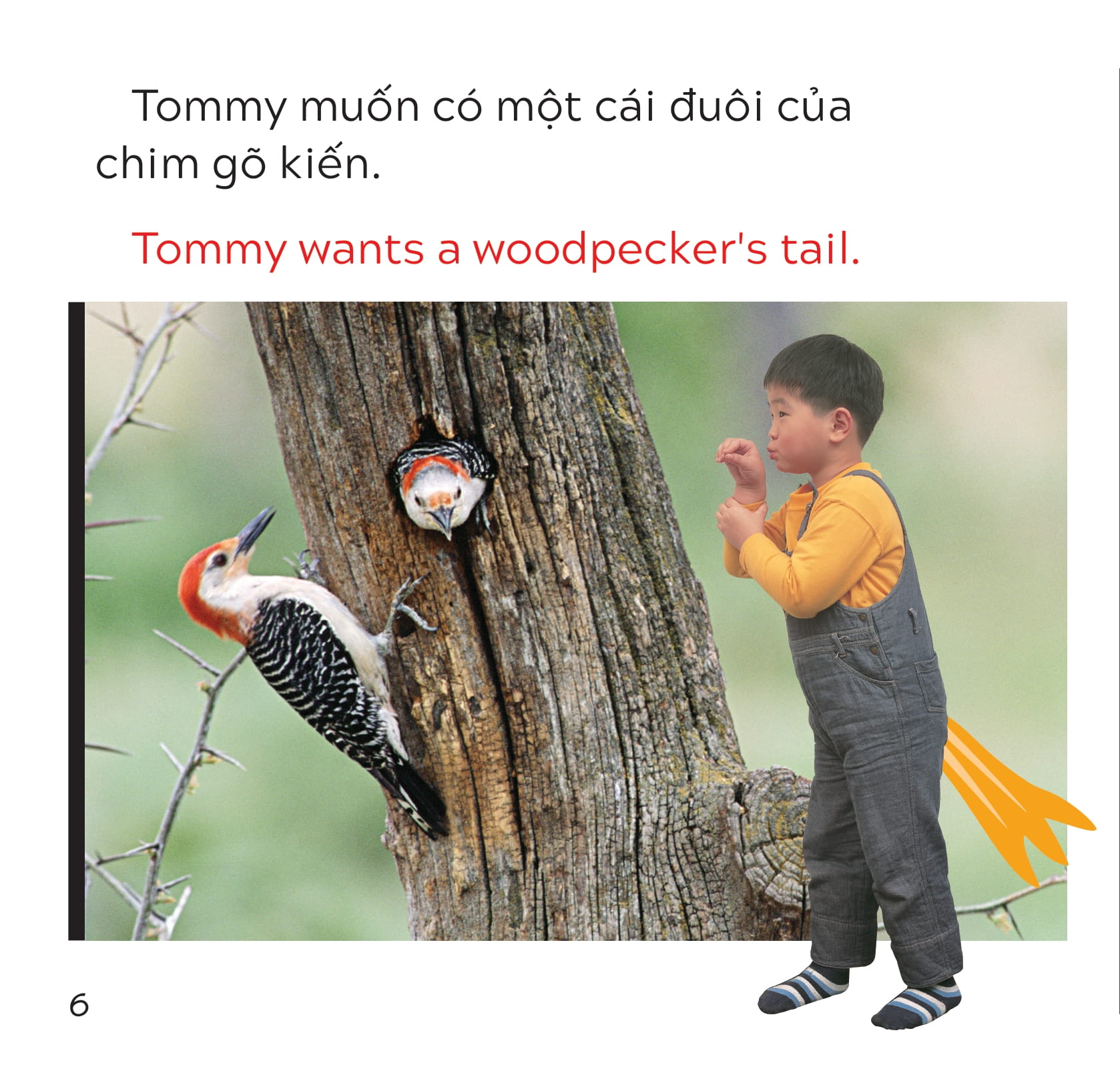 song ngữ việt anh - khám phá thế giới - tommy muốn có một cái đuôi - tommy wants a tail - Ảnh 7