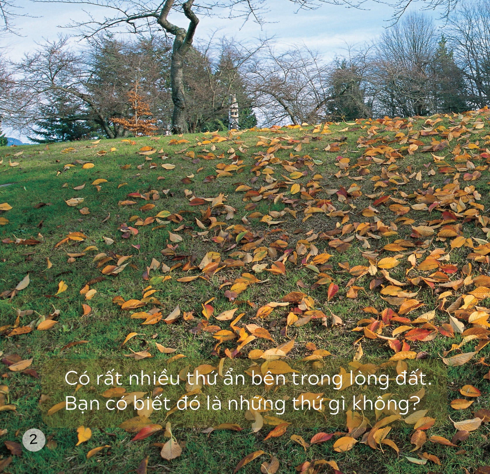 song ngữ việt anh - khám phá thế giới - trong lòng đất - under the ground - Ảnh 3