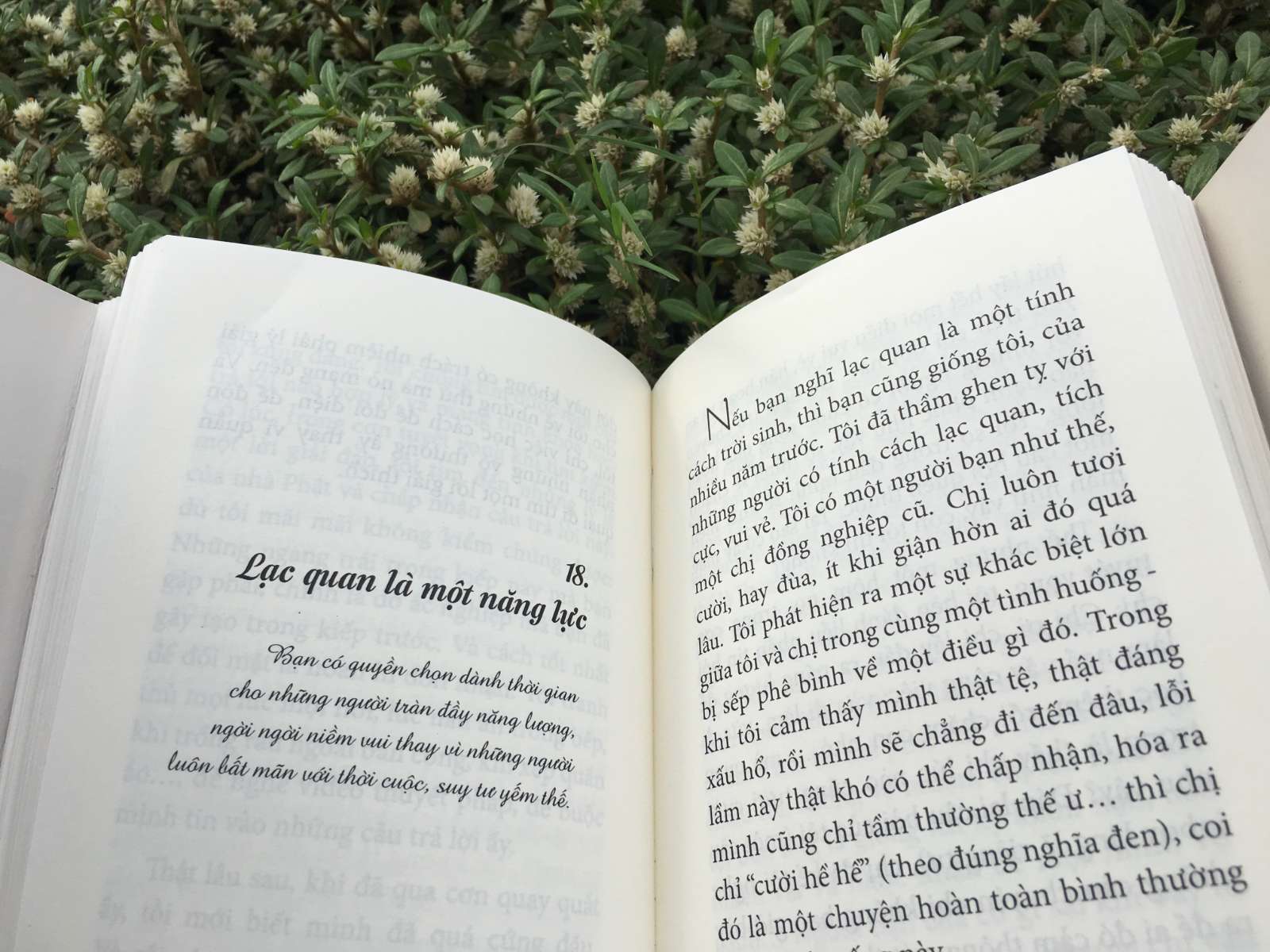 sống như bạn đang ở sân bay - Ảnh 5