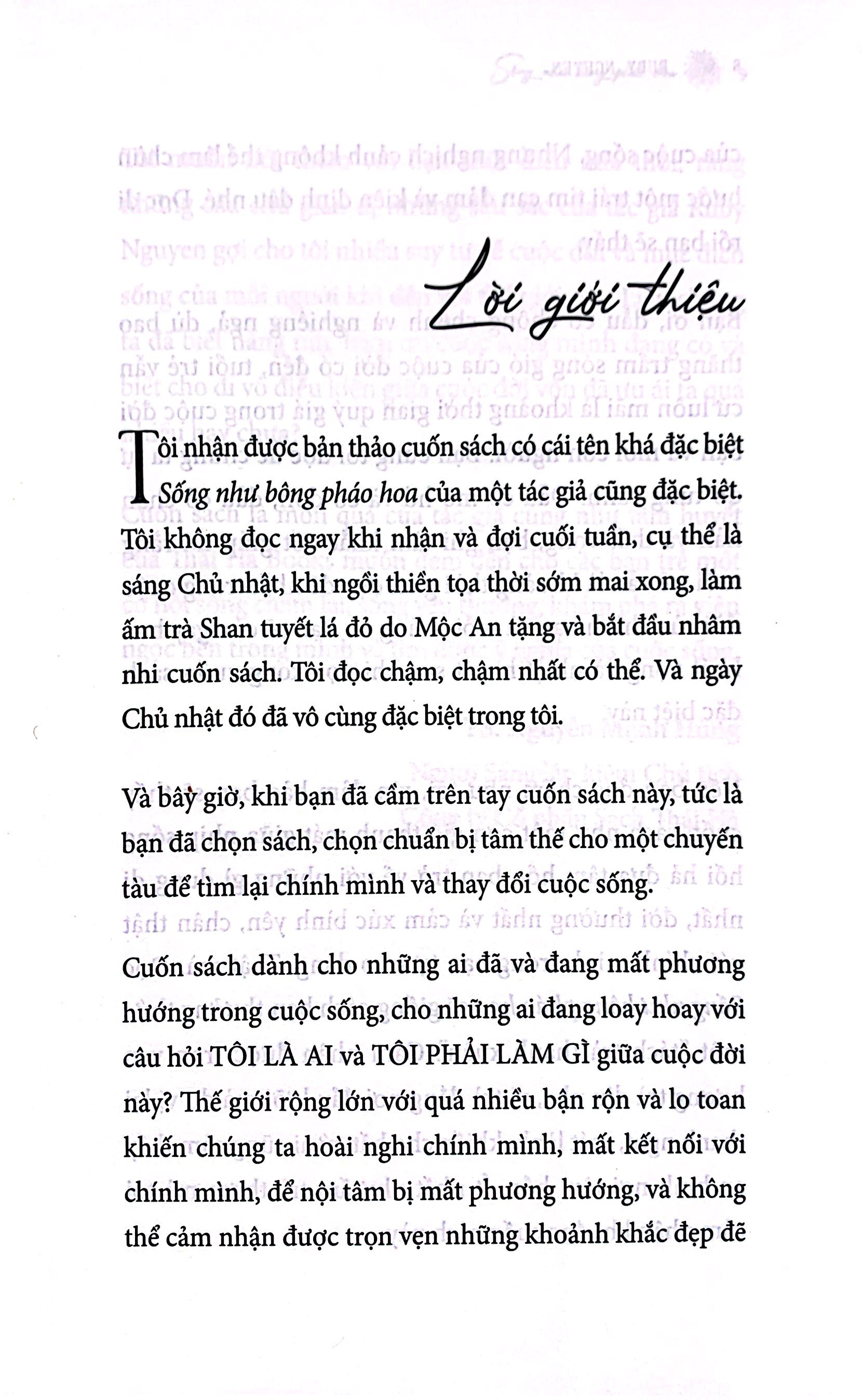 sống như bông pháo hoa - hành trình khám phá điều quý giá nhất cuộc đời - Ảnh 5