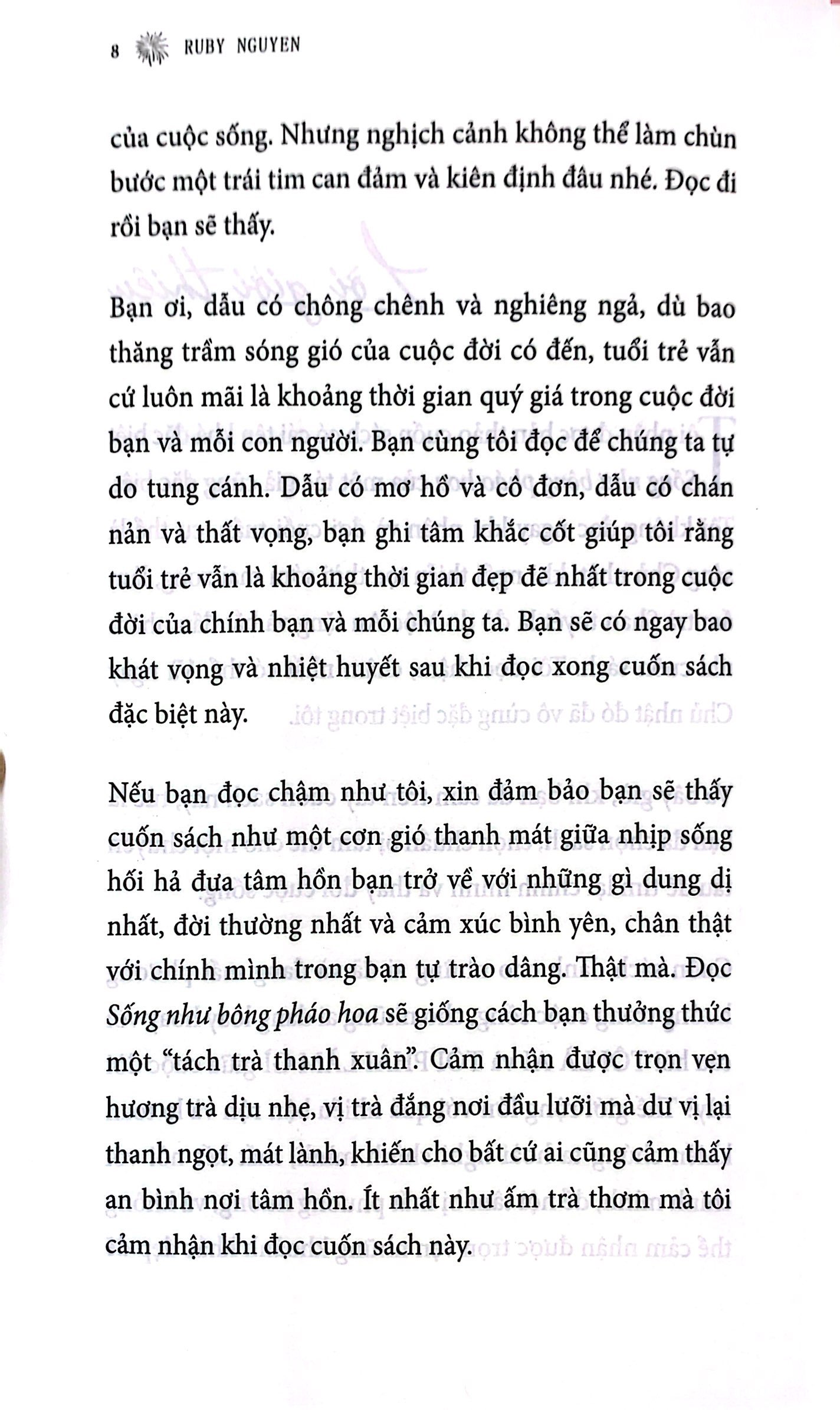 sống như bông pháo hoa - hành trình khám phá điều quý giá nhất cuộc đời - Ảnh 6
