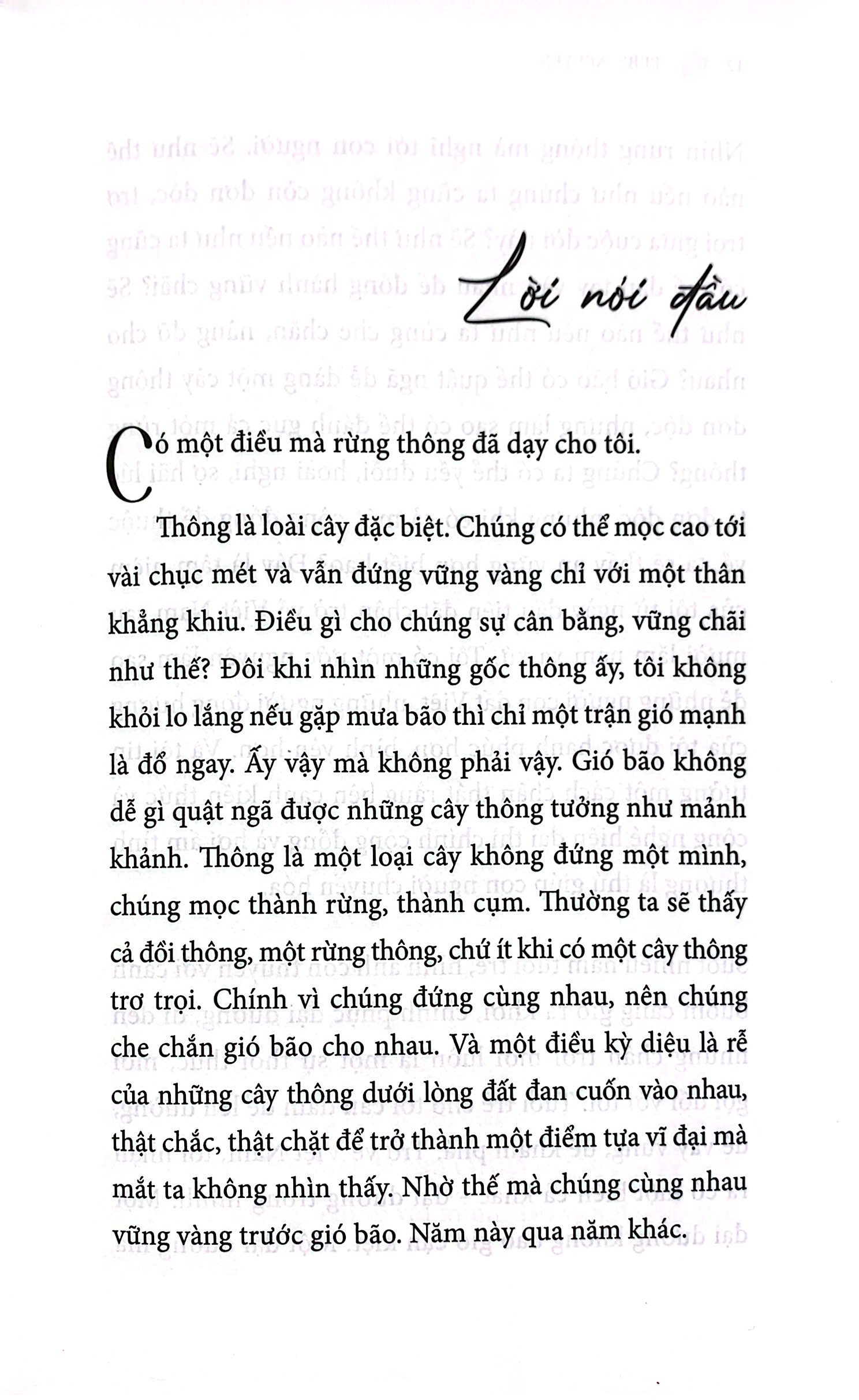 sống như bông pháo hoa - hành trình khám phá điều quý giá nhất cuộc đời - Ảnh 8