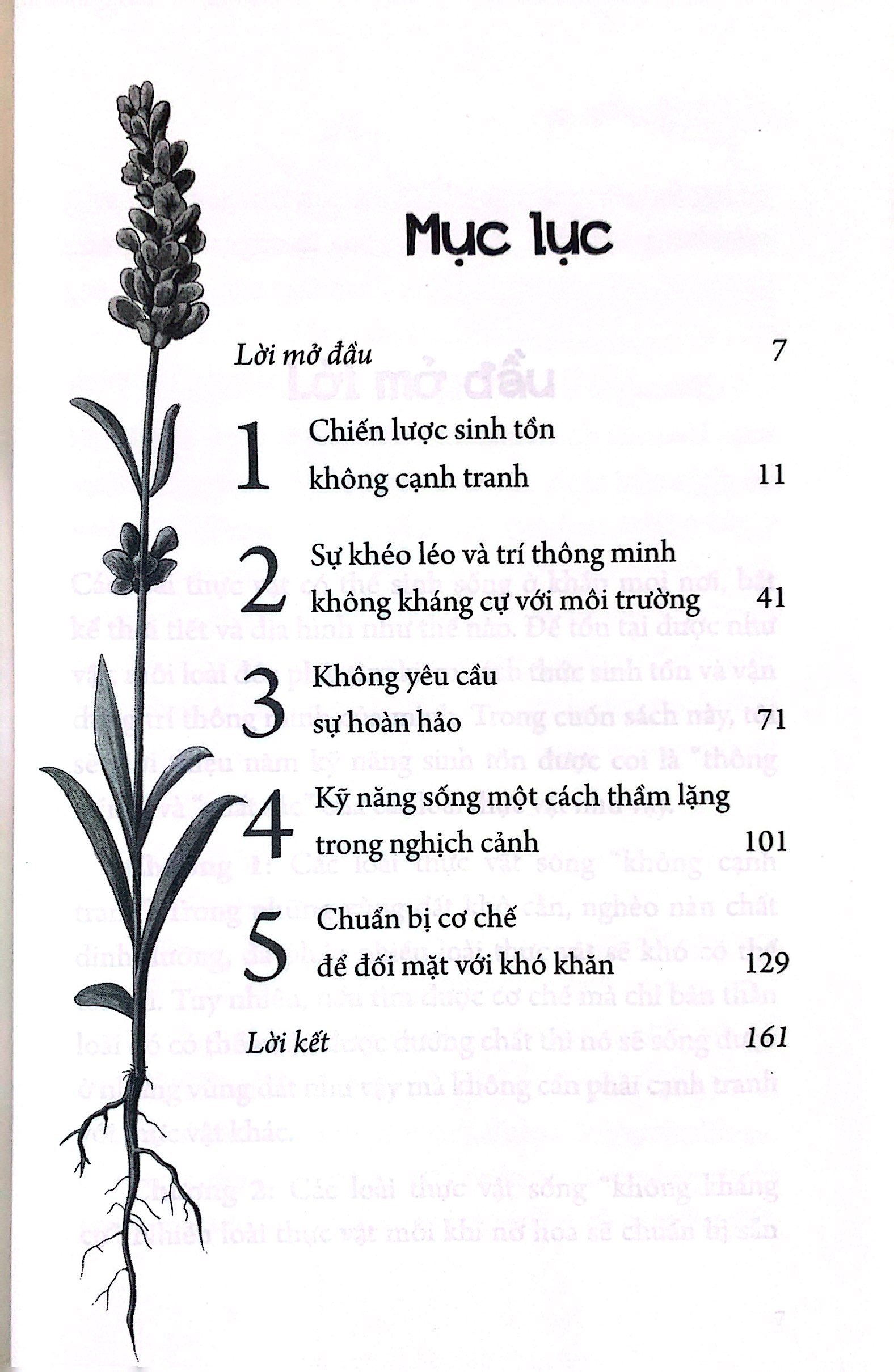 sống như một cái cây: không tham lam, không chiến đấu vô ích, sống khôn ngoan một cách thầm lặng - Ảnh 3